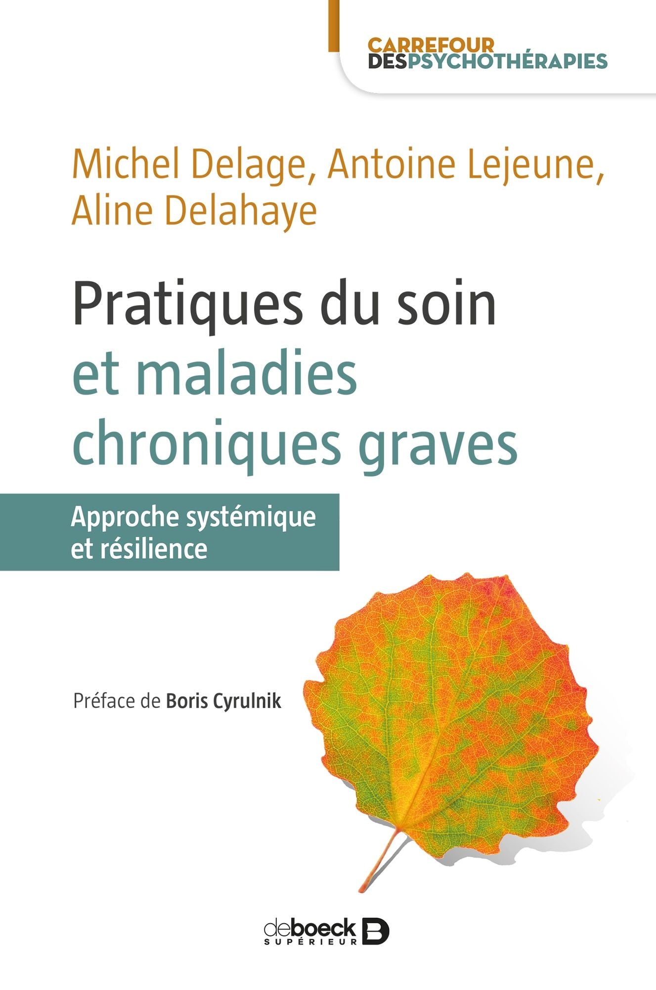 Pratiques du soin et maladies chroniques graves: Approche systémique et résilience