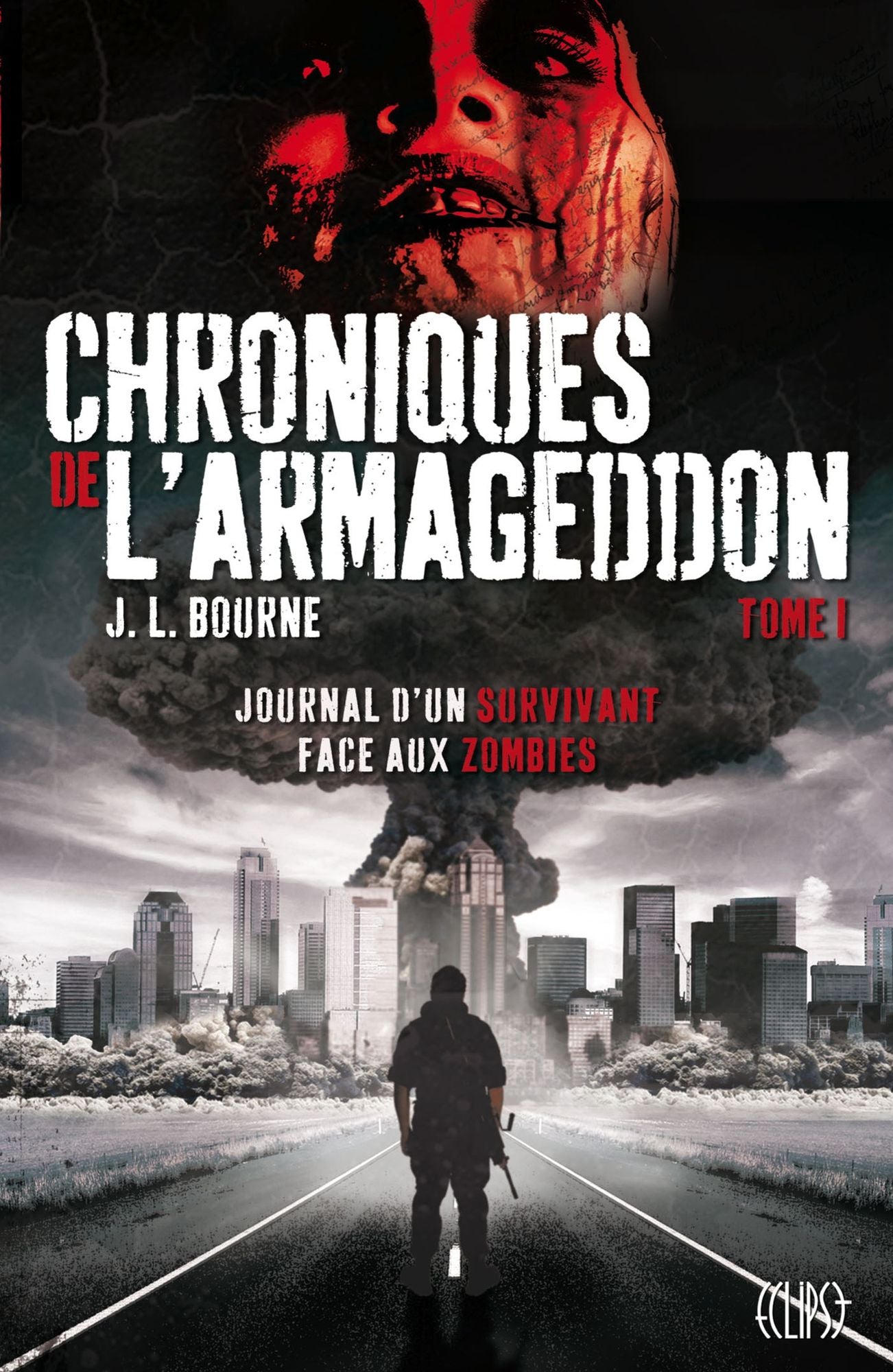Chroniques de l'Armageddon T01: Journal d'un survivant face aux zombies