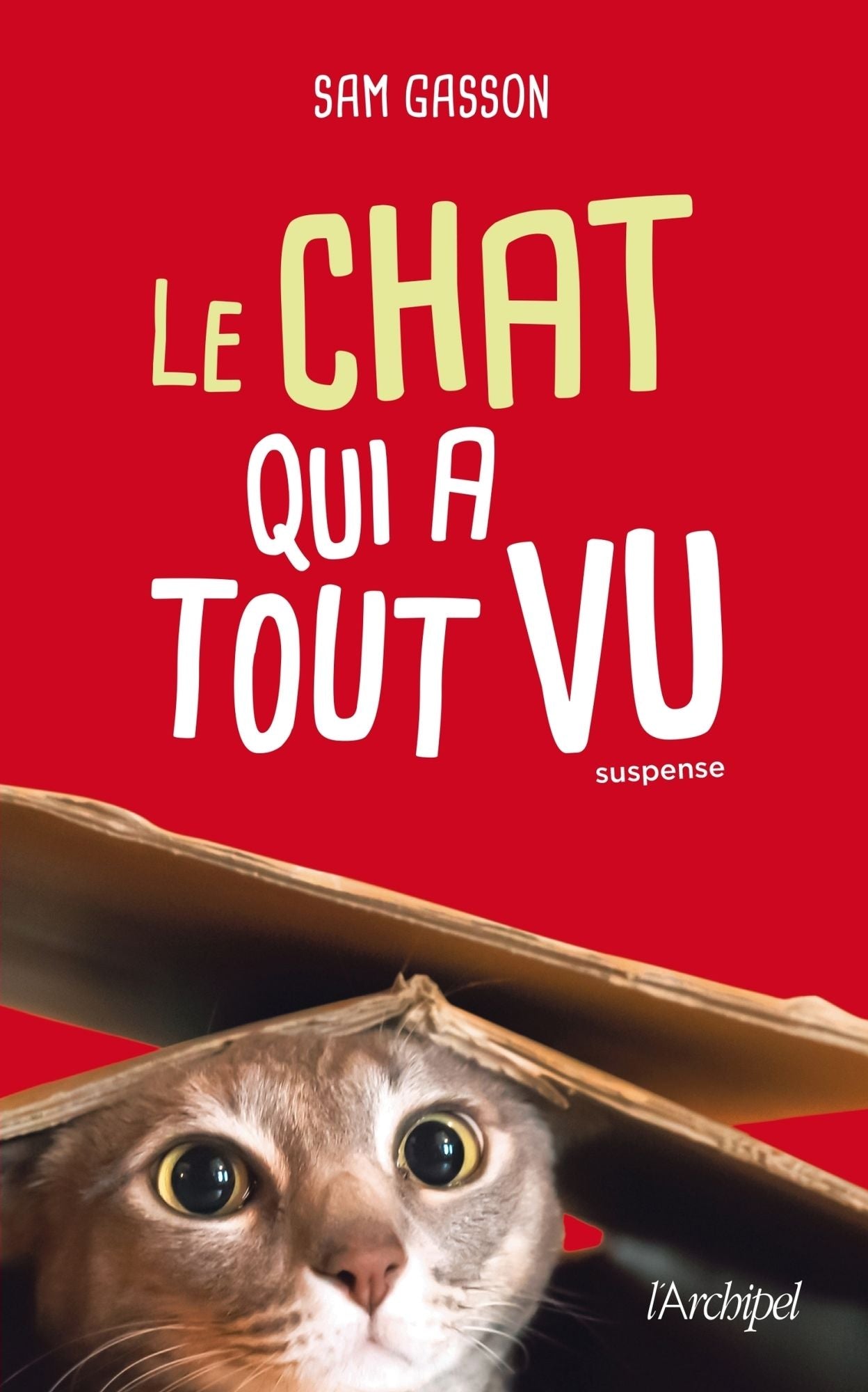 Le chat qui a tout vu
