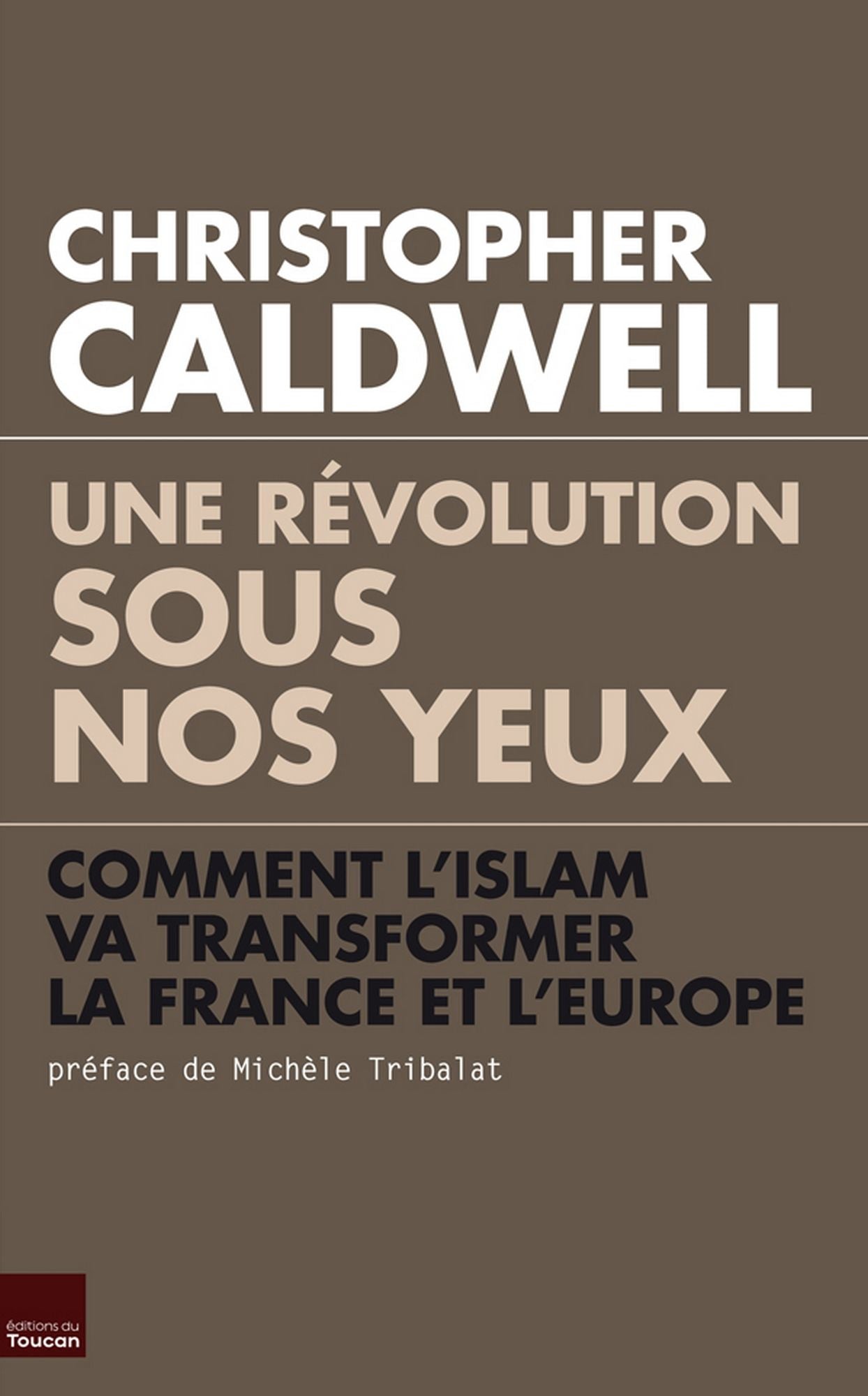 Une révolution sous nos yeux: Comment l'islam va transformer la France et l'Europe