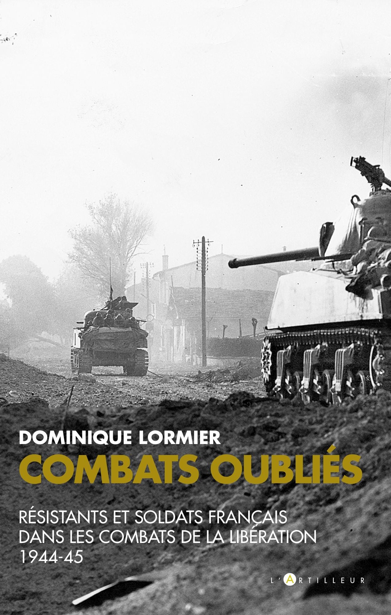 Combats oubliés: Résistants et soldats français dans les combats de la Libération 1944-45