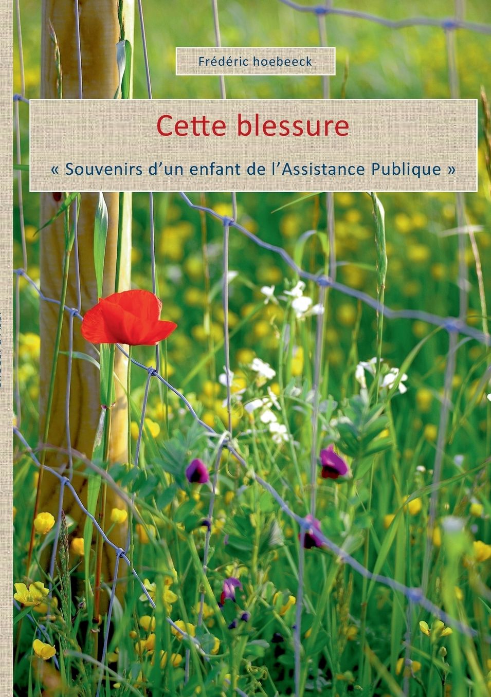 cette blessure