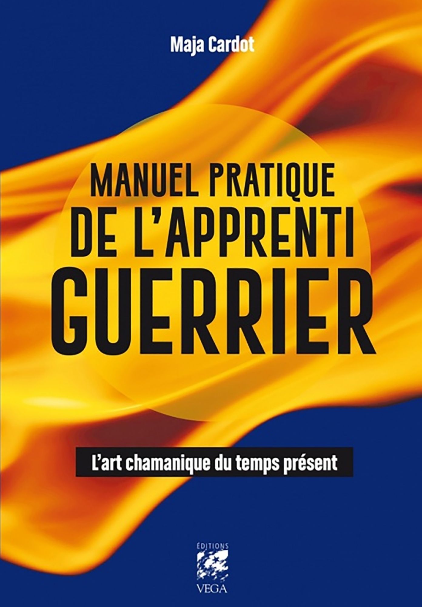 Manuel pratique de l'apprenti guerrier: L'art chamanique du temps présent