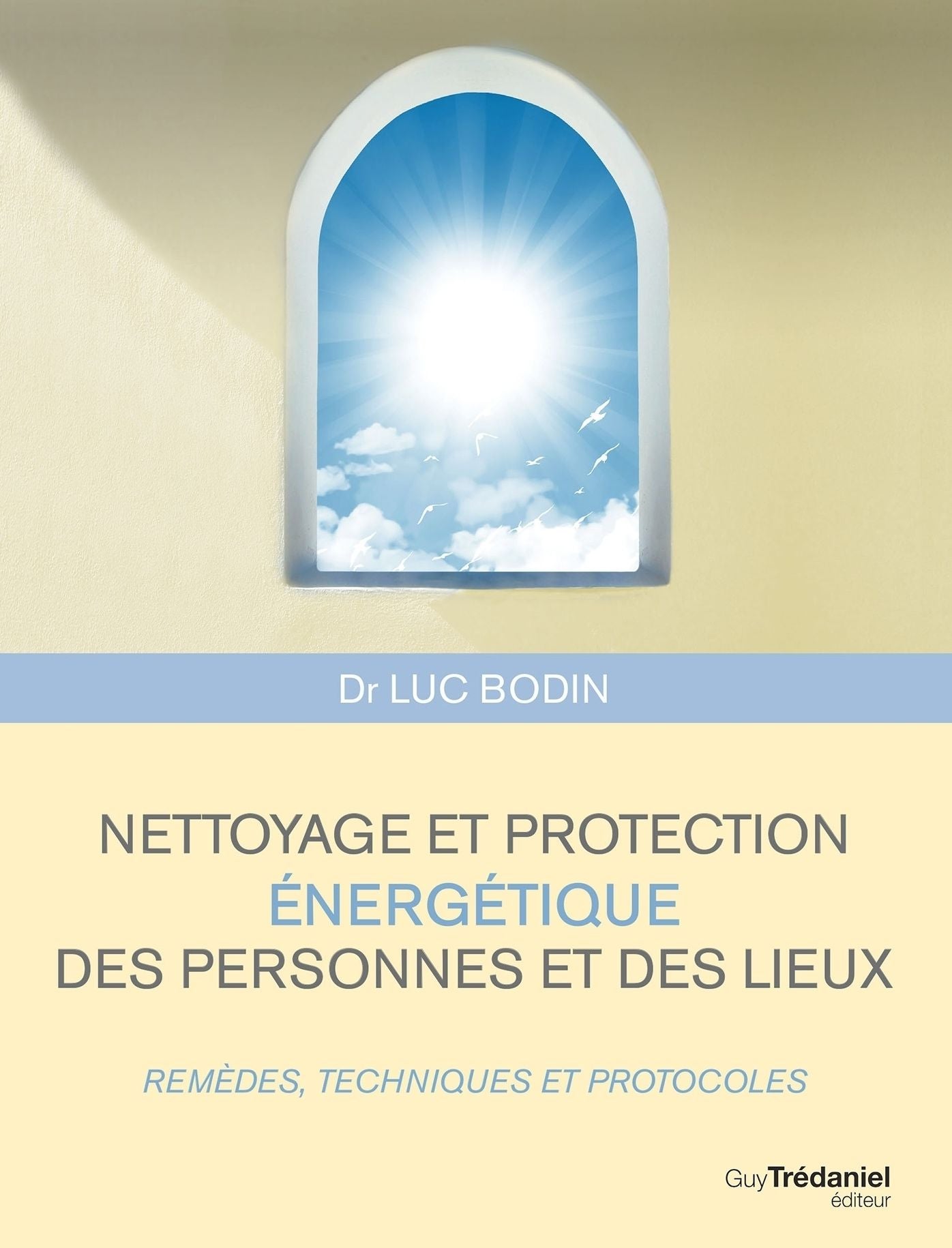 Nettoyage et protection énergétique des personnes et des lieux: Remèdes, techniques et protocoles