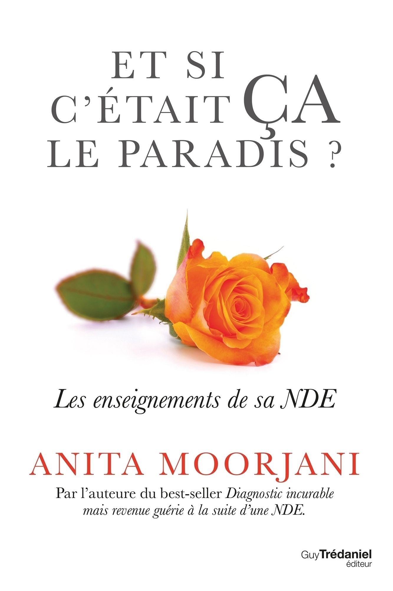 Et si c'était ça le paradis: Les enseignement de sa NDE