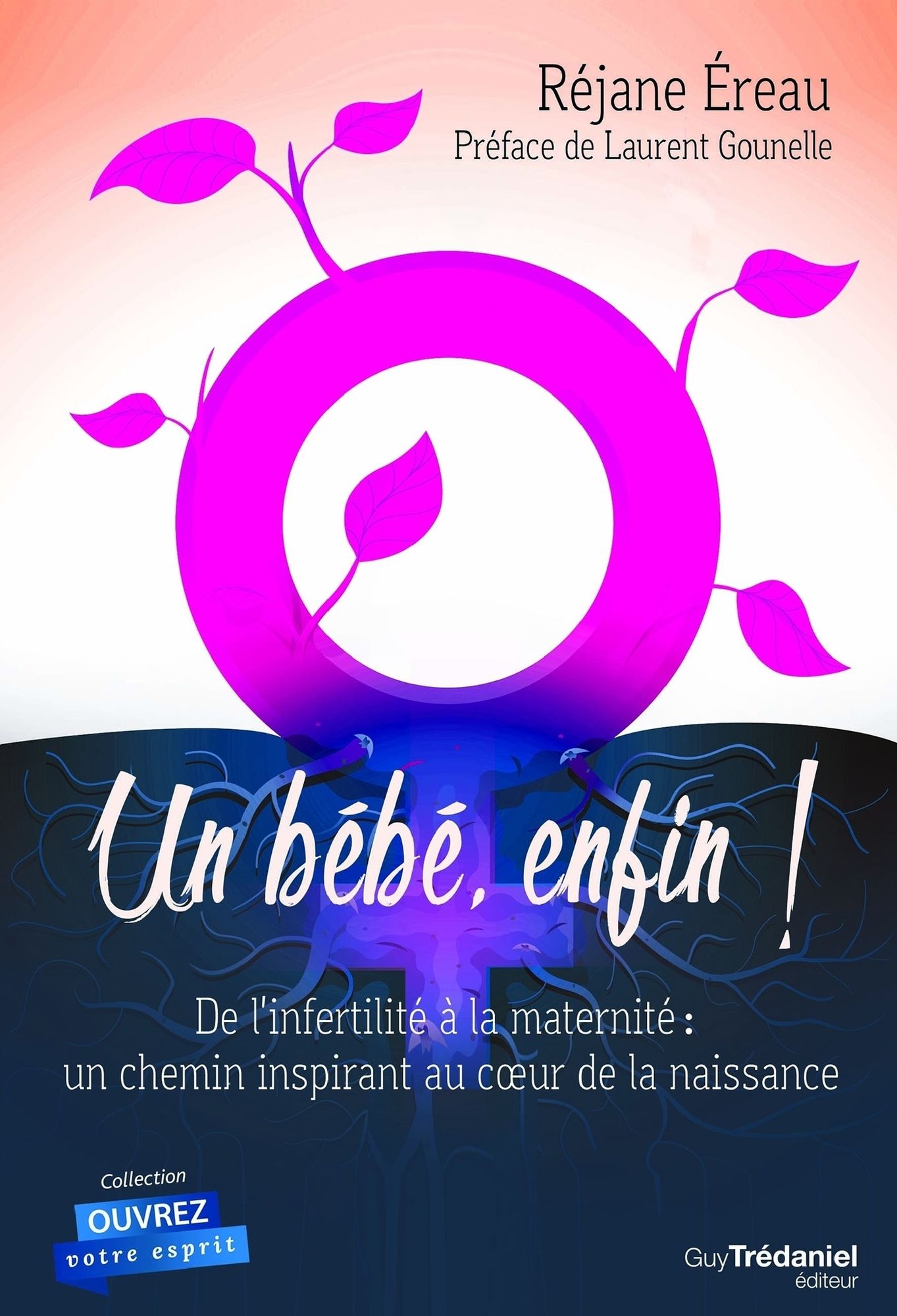 Un bébé enfin: De l'infertilité à la maternité : un chemin inspirant au c ur de la naissance