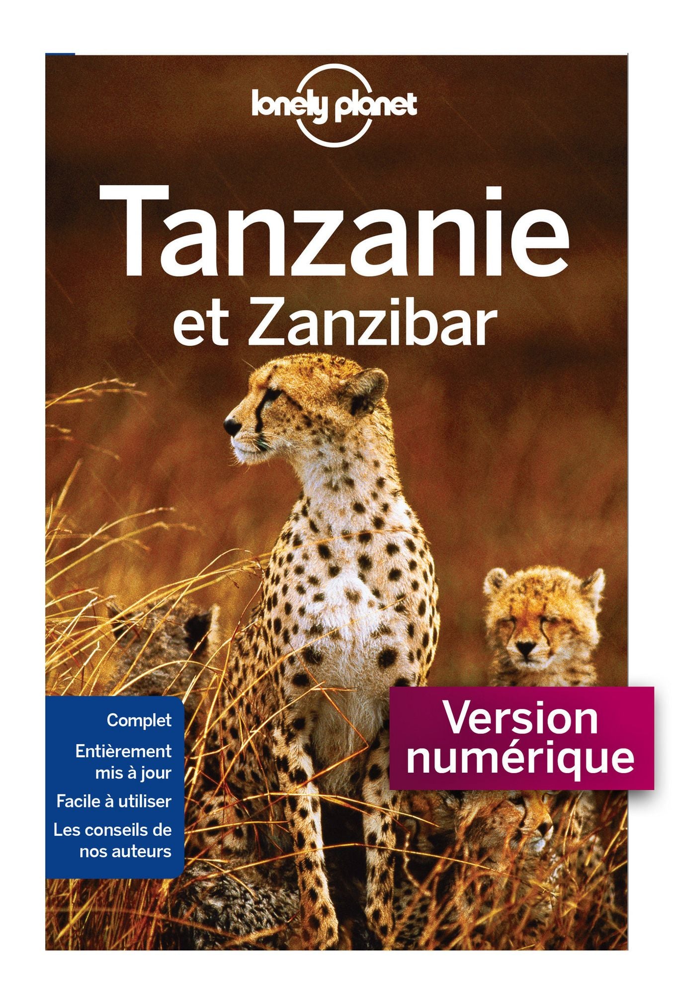 Tanzanie et Zanzibar 3ed