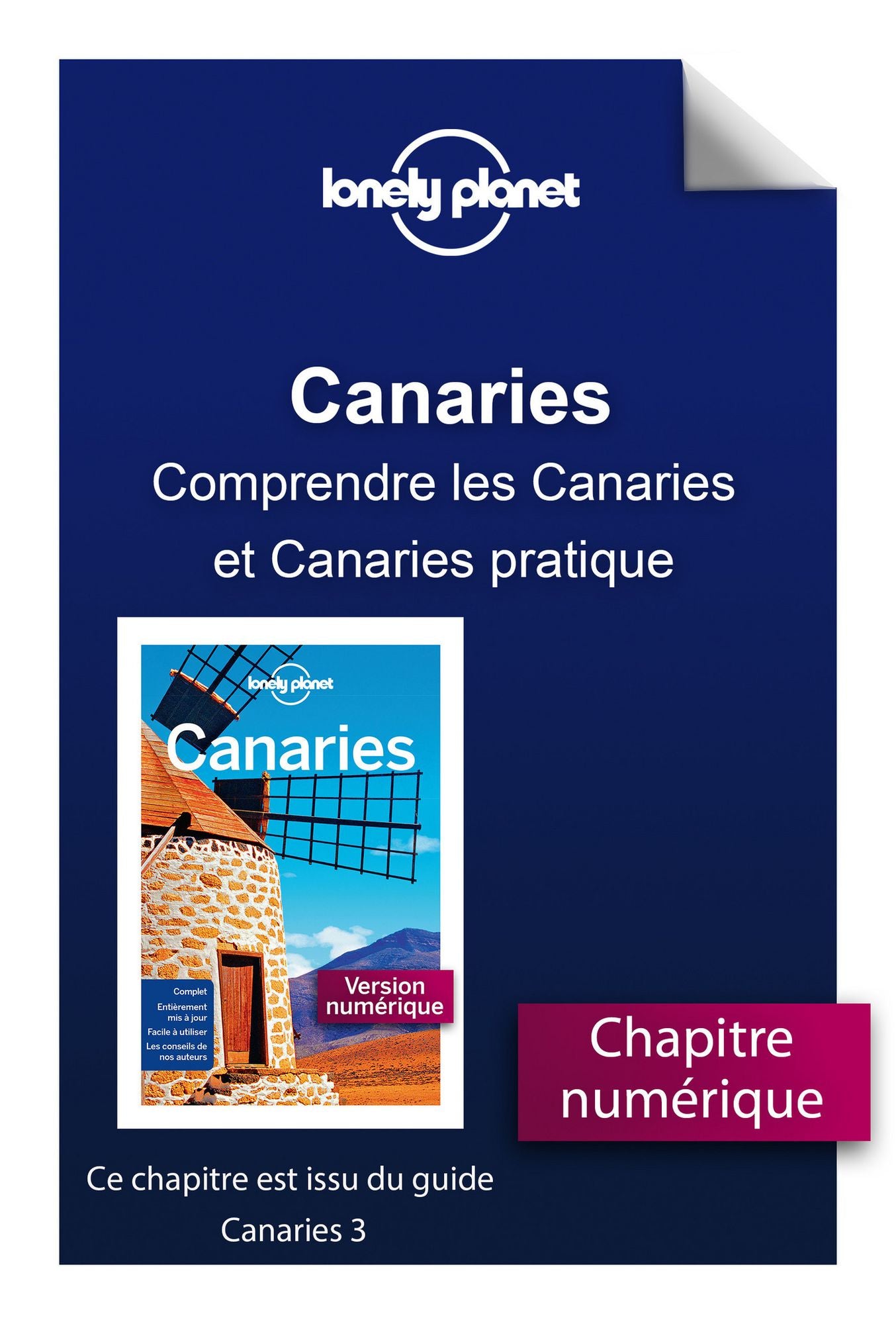 Canaries - Comprendre les Canaries et Canaries pratique
