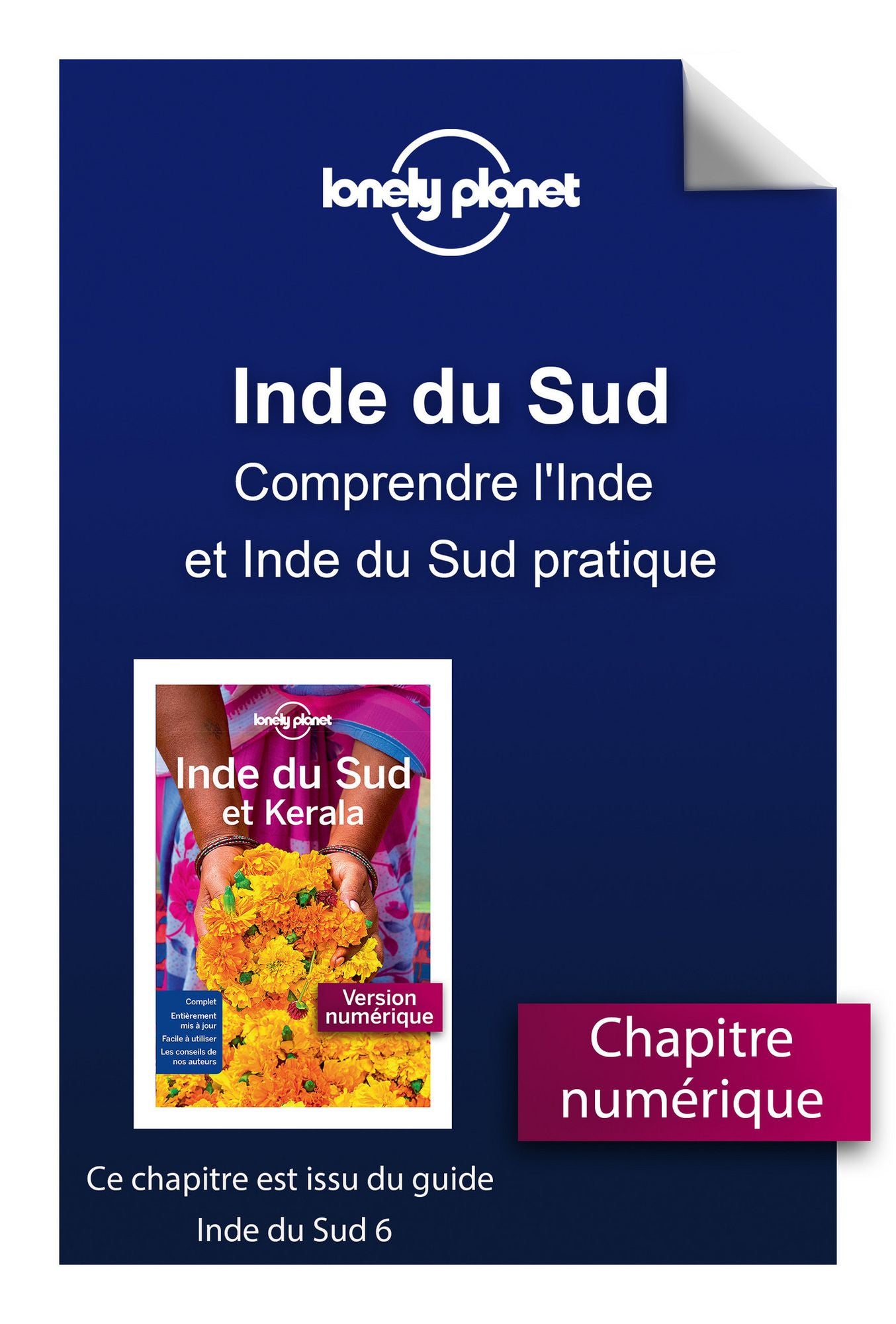 Inde du Sud - Comprendre l'Inde et Inde du Sud pratique