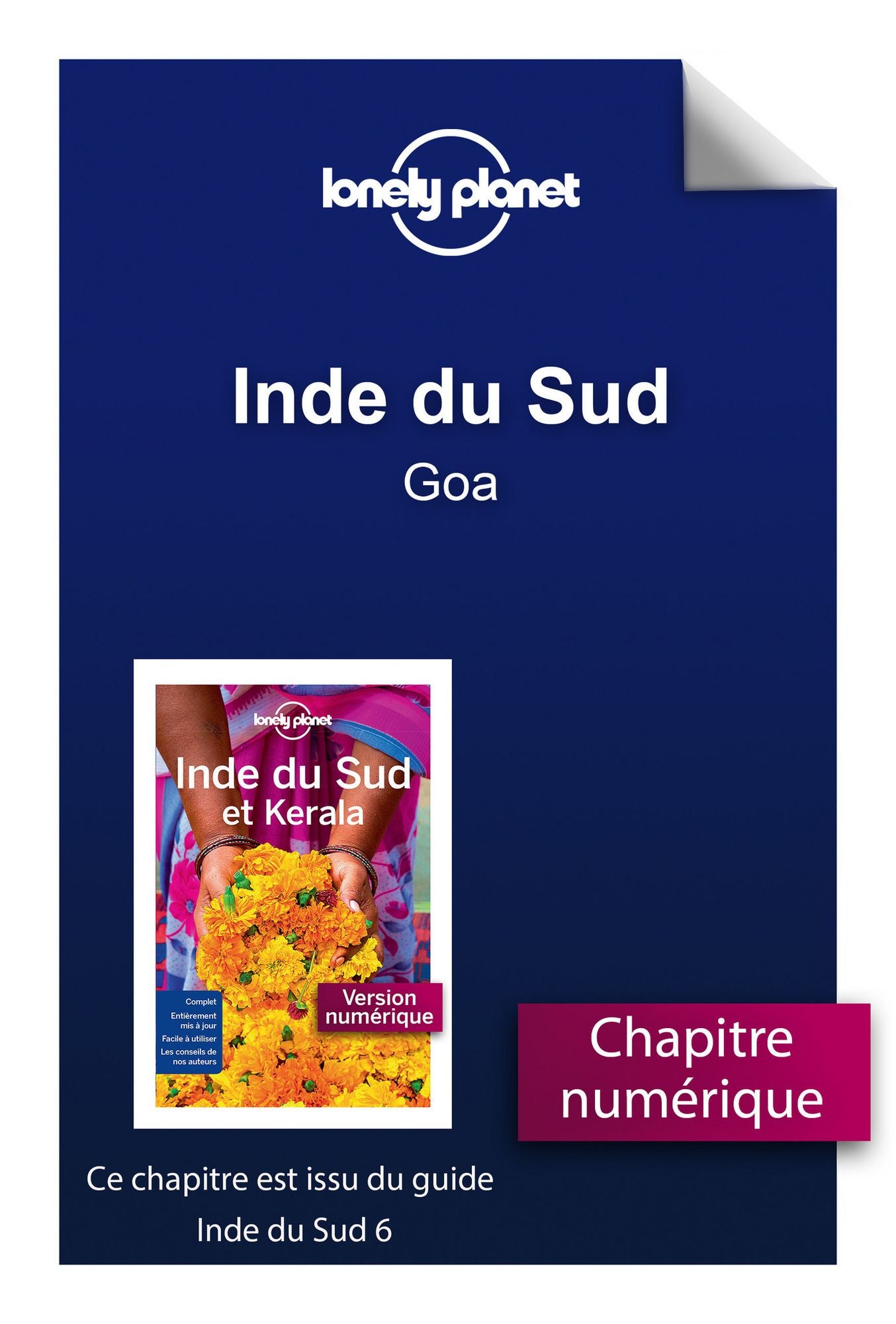 Inde du Sud - Goa