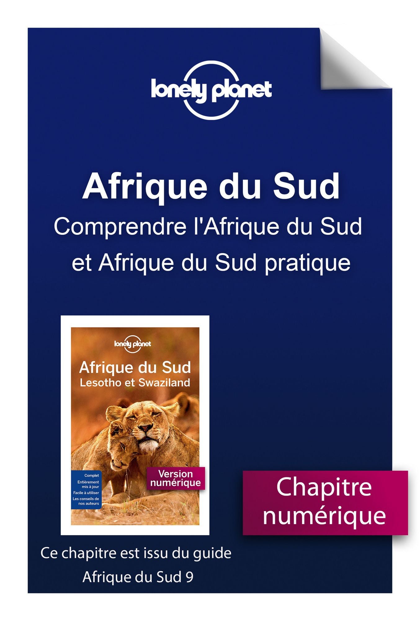 Afrique du Sud - Comprendre l'Afrique du Sud et Afrique du Sud pratique