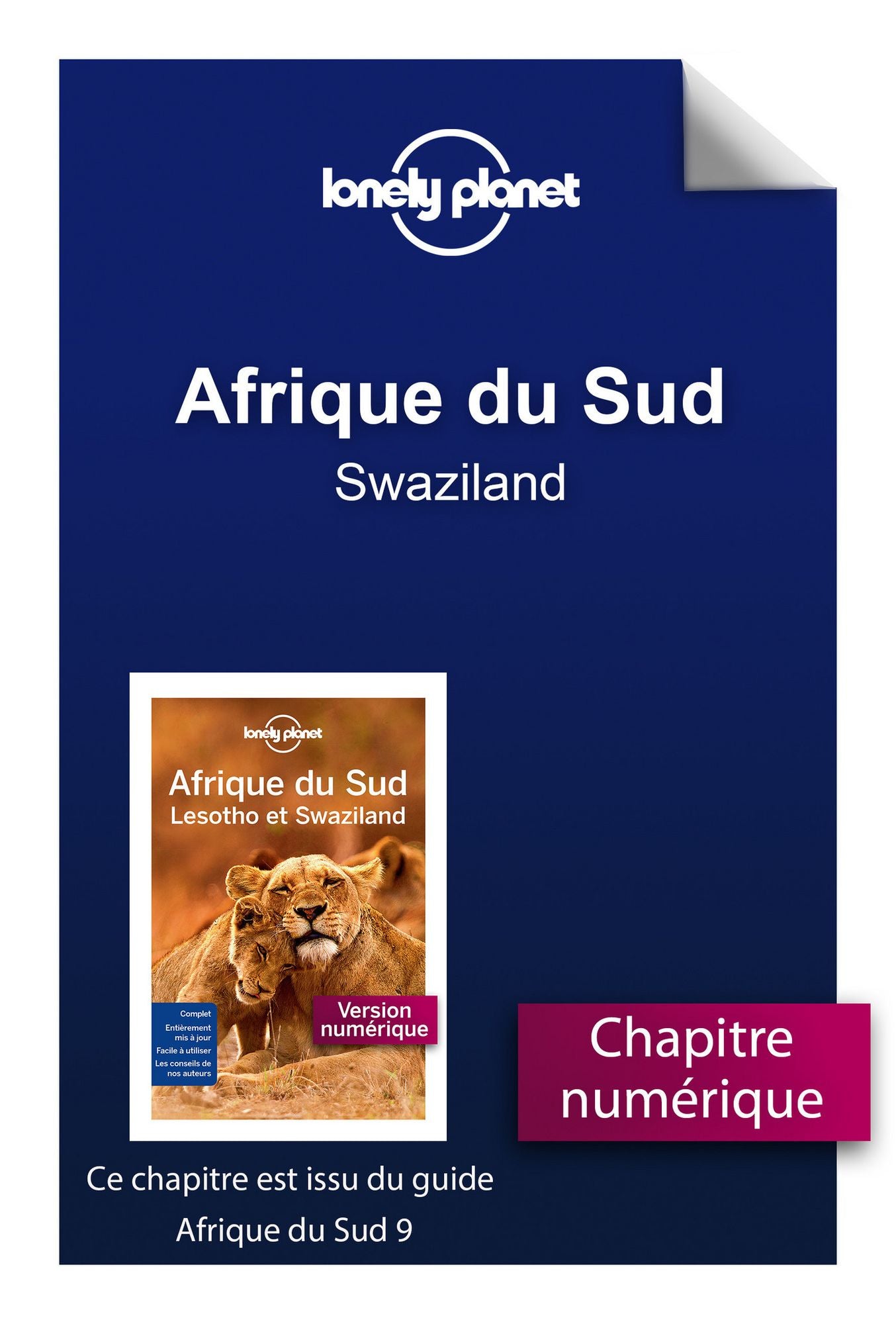 Afrique du Sud - Swaziland