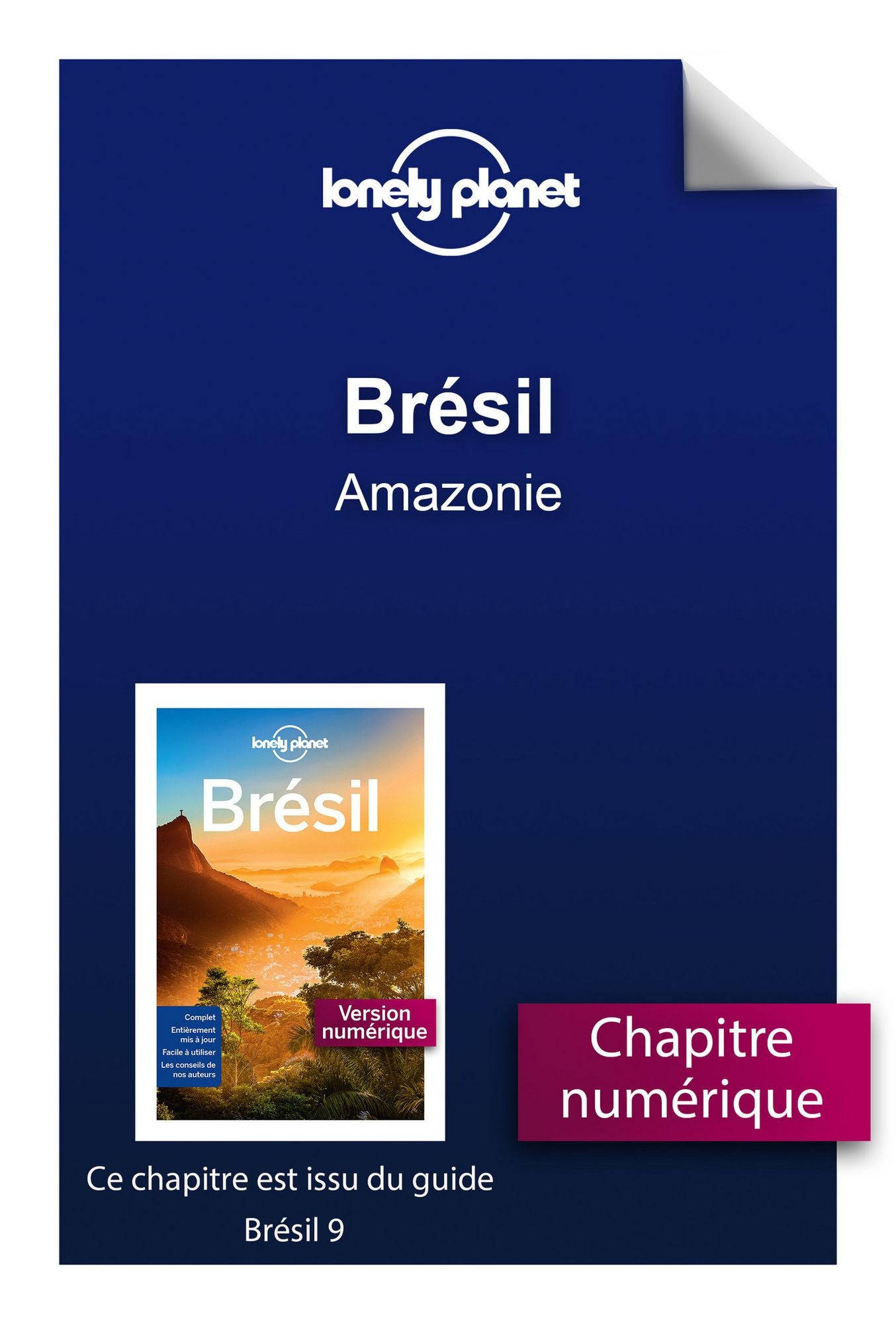 Brésil 9 - Amazonie