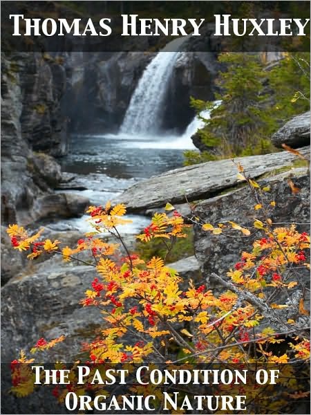 The Past Condition of Organic Nature