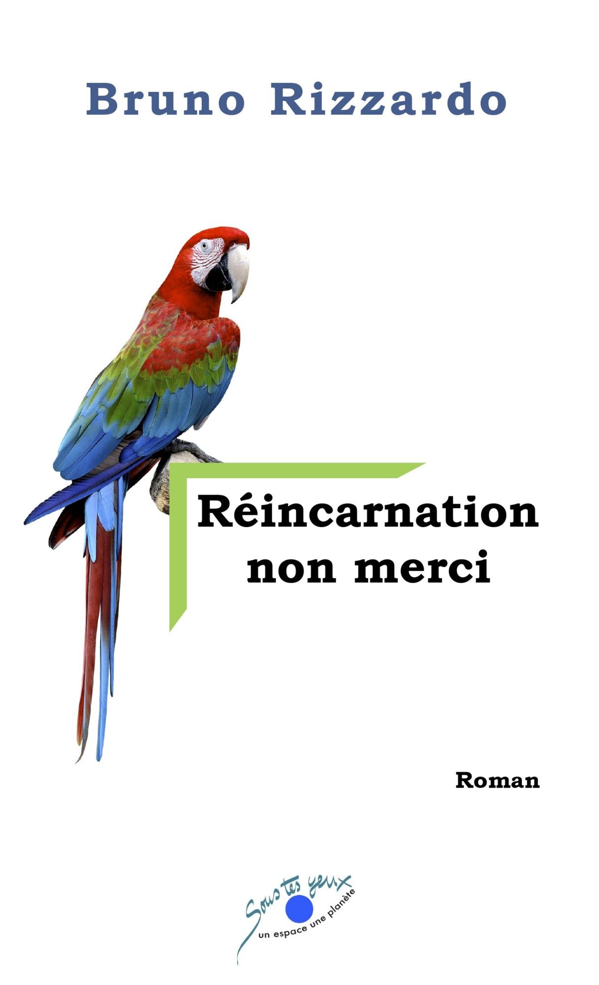 RÉINCARNATION NON MERCI