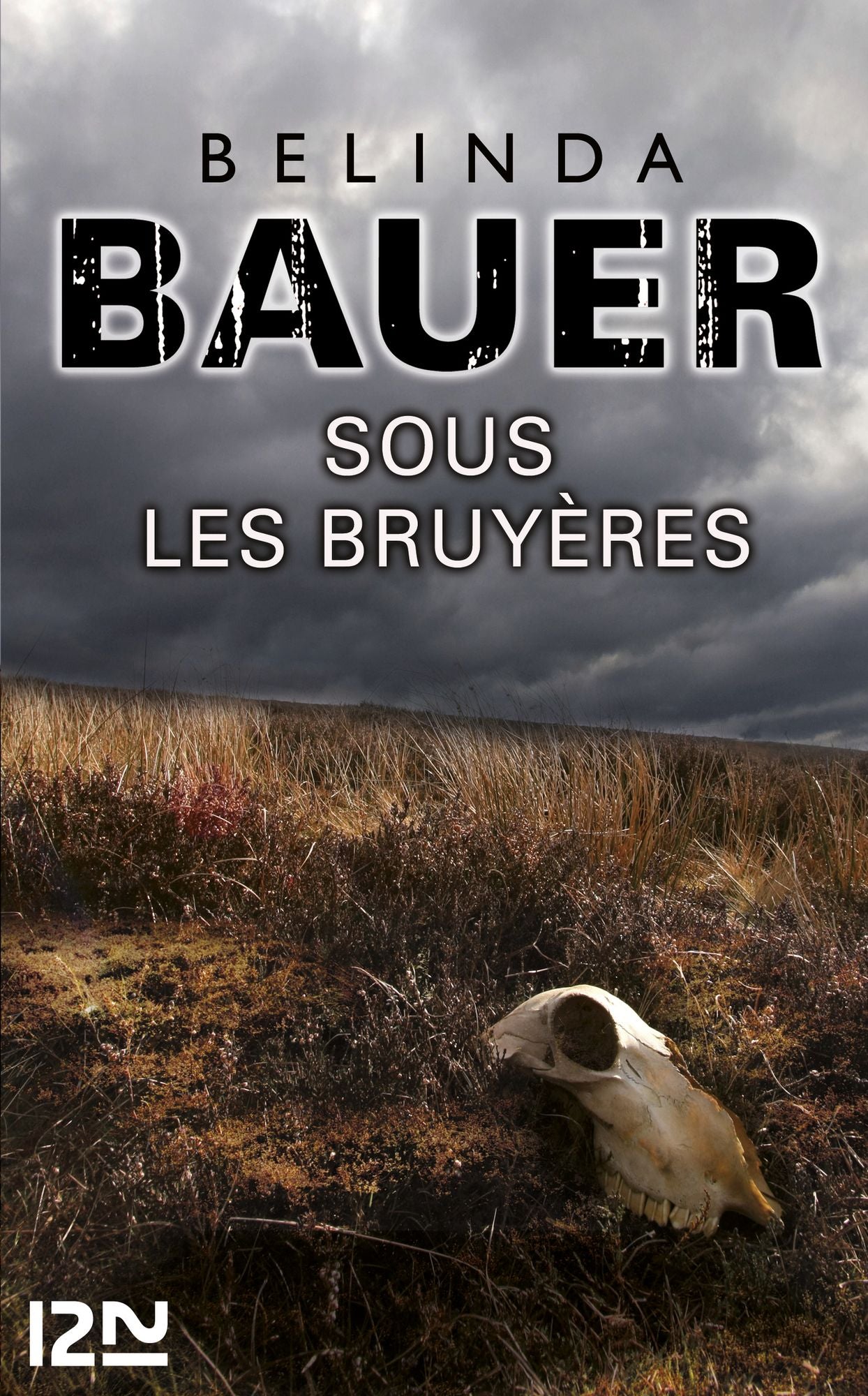 Sous les bruyères