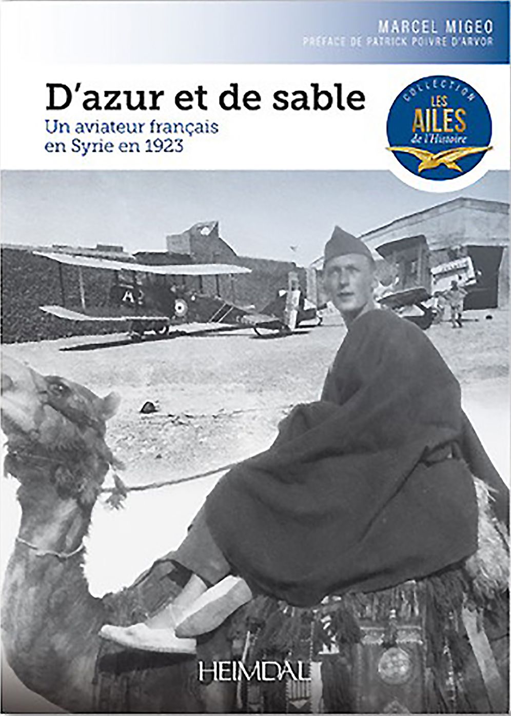 D'Azur Et de Sable: Un Aviateur Francais En Syrie En 1923