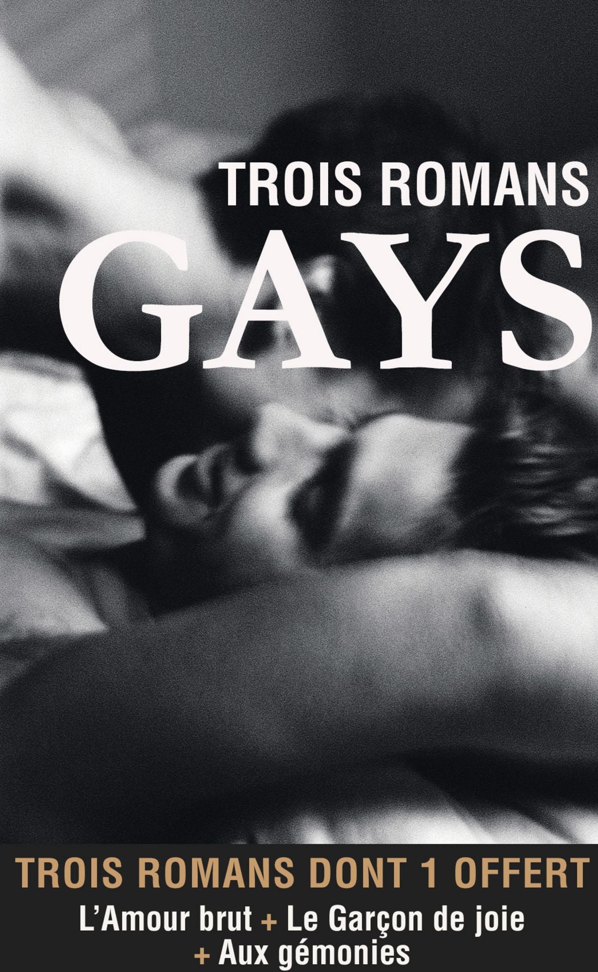 Trois romans gays