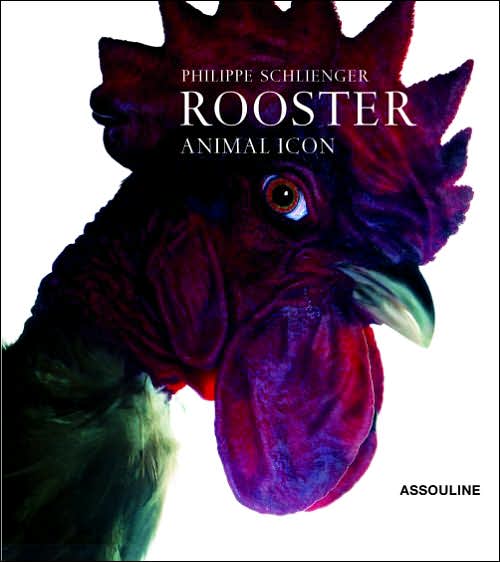Rooster