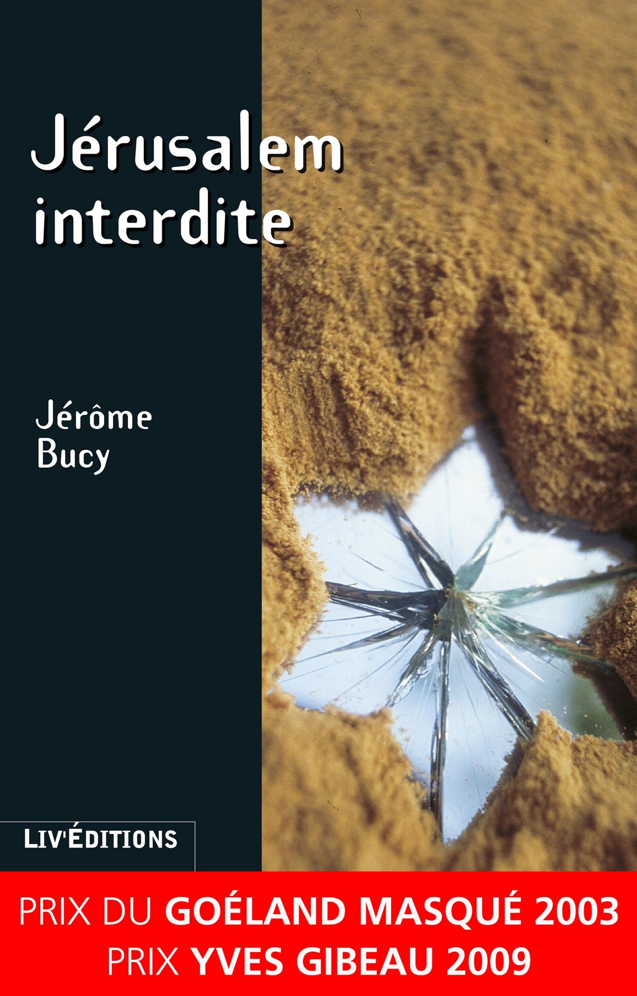 Jérusalem interdite: Roman policier surprenant et envoûtant