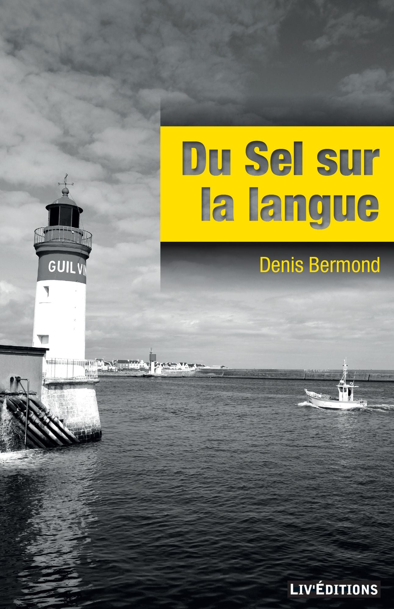 Du sel sur la langue: Une intrigue bretonne