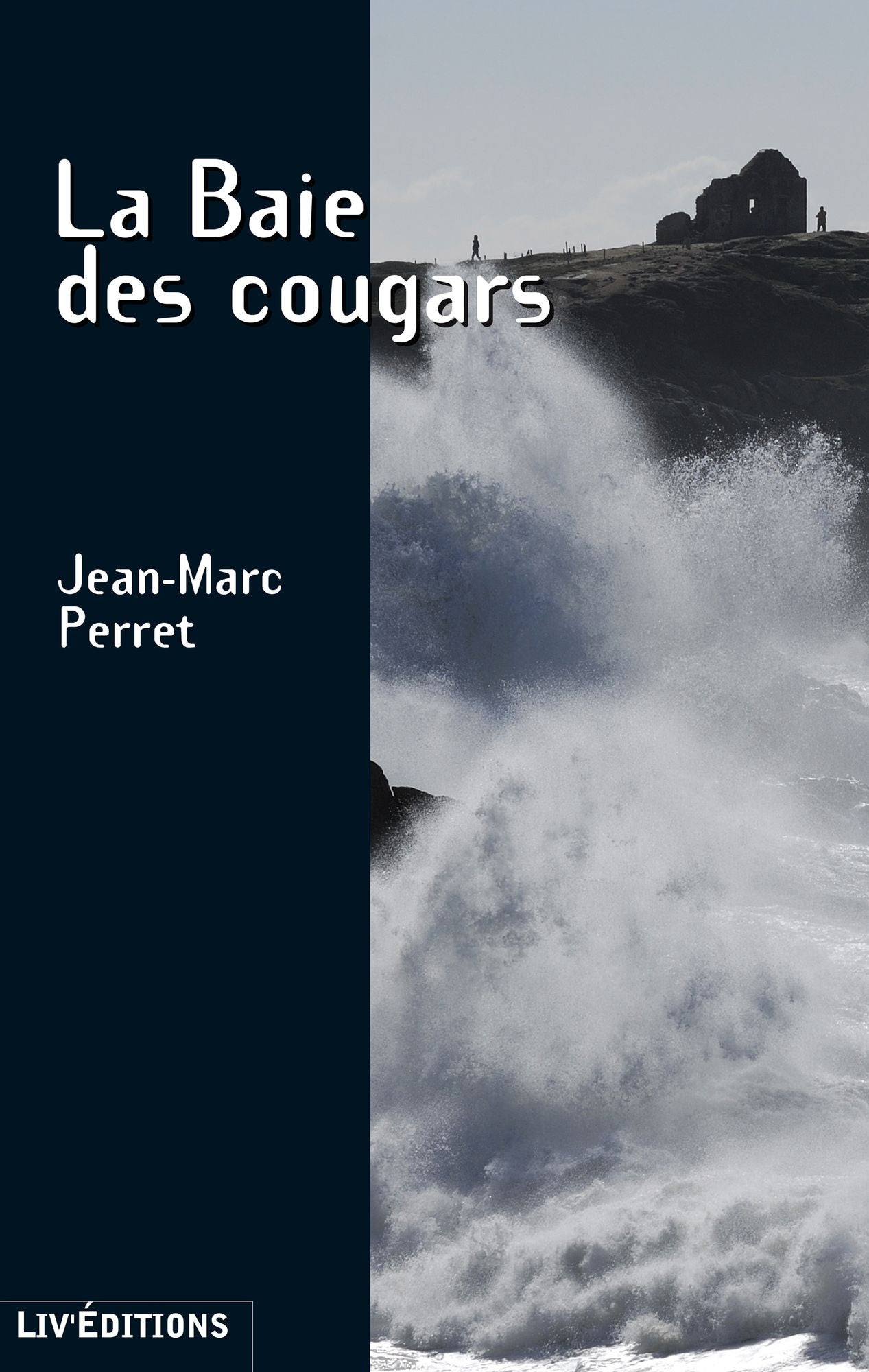 La Baie des Cougars: Un polar breton