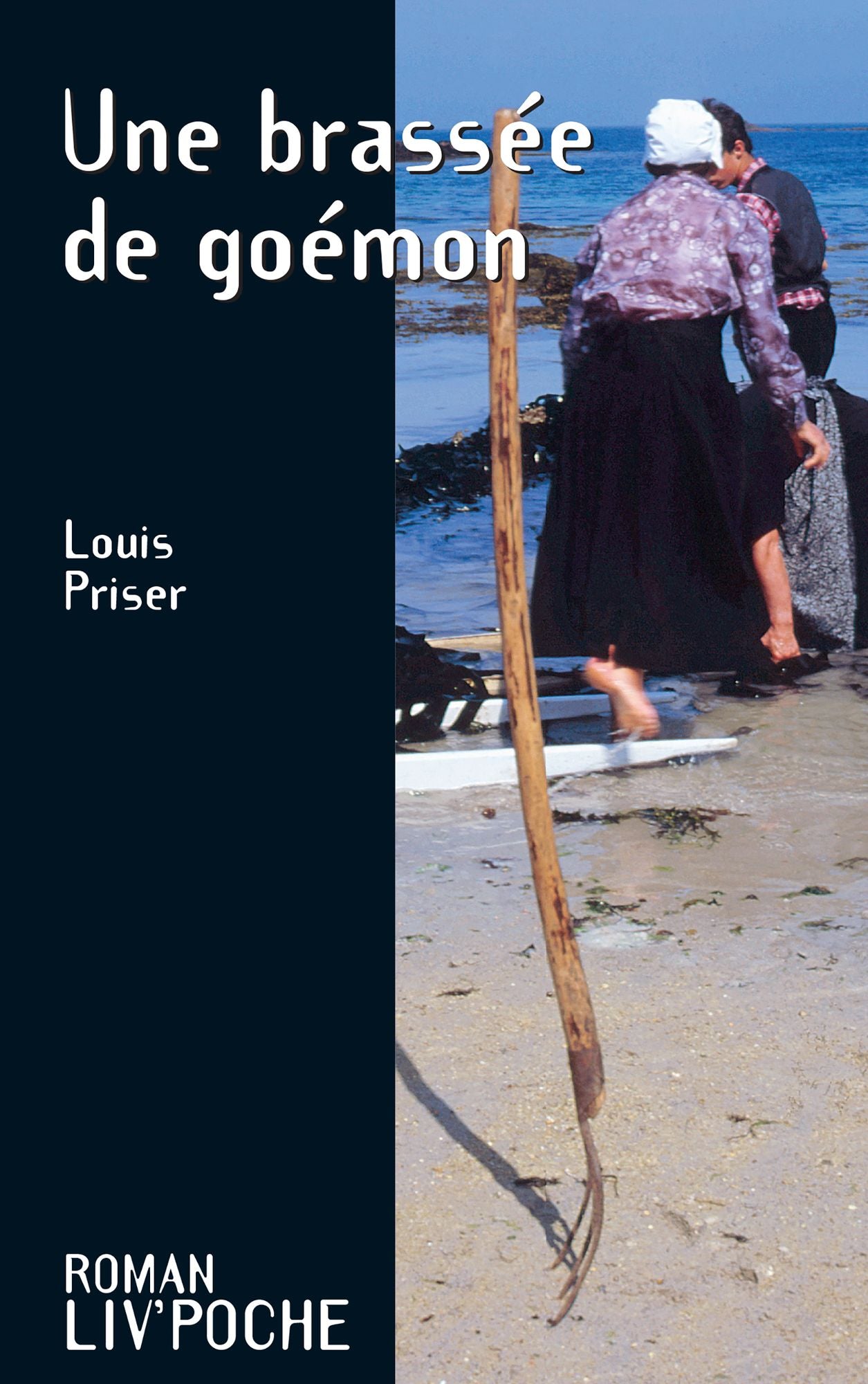 Une brassée de goémon: Un roman biographique