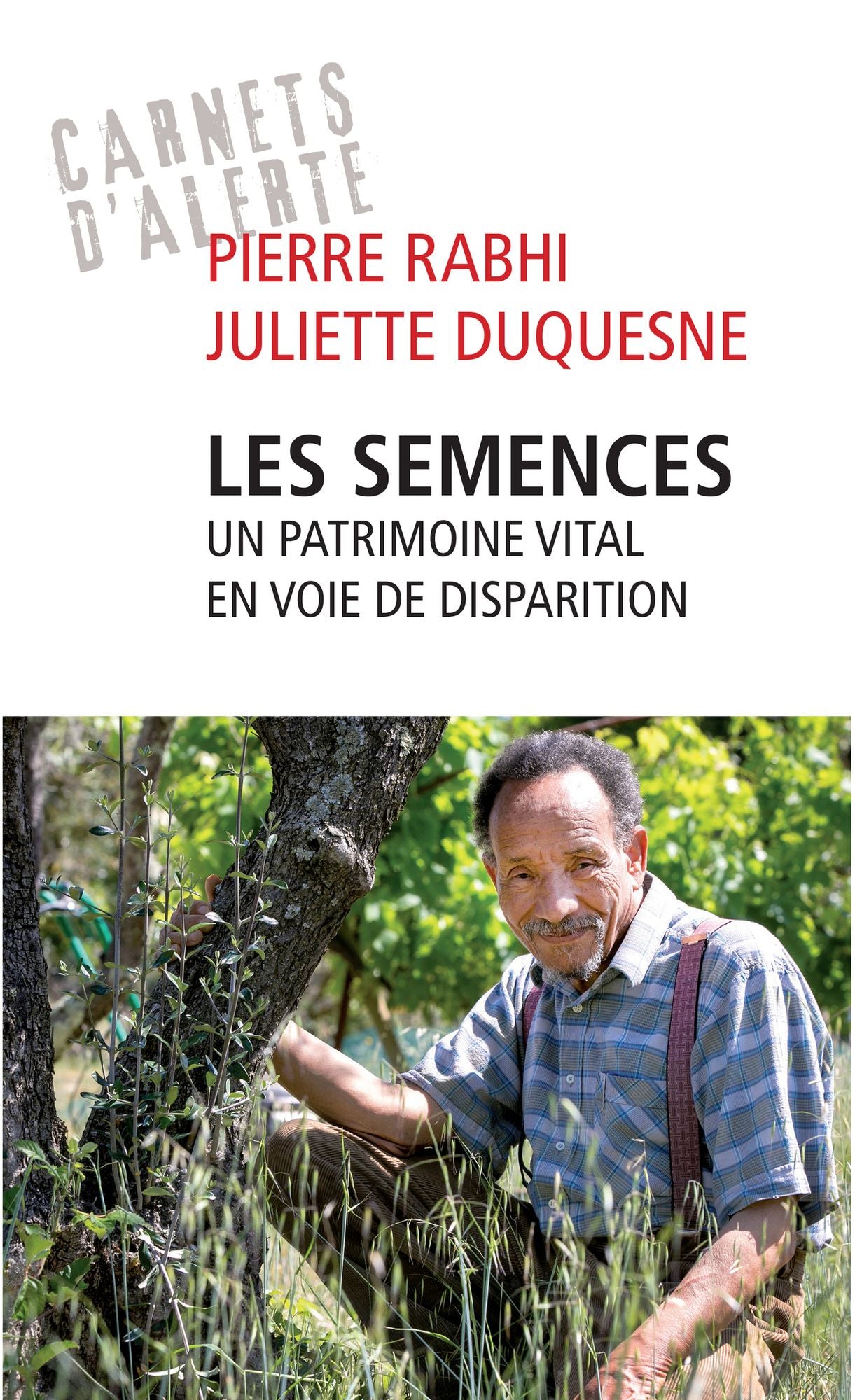Les semences : un patrimoine vital en voie de disparition
