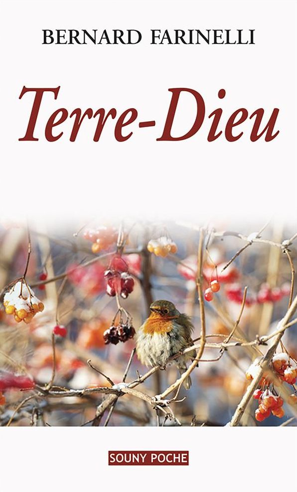 Terre-Dieu: Un roman du terroir