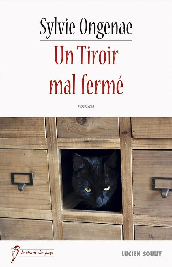 Un Tiroir mal fermé: Le roman d'un nouveau départ