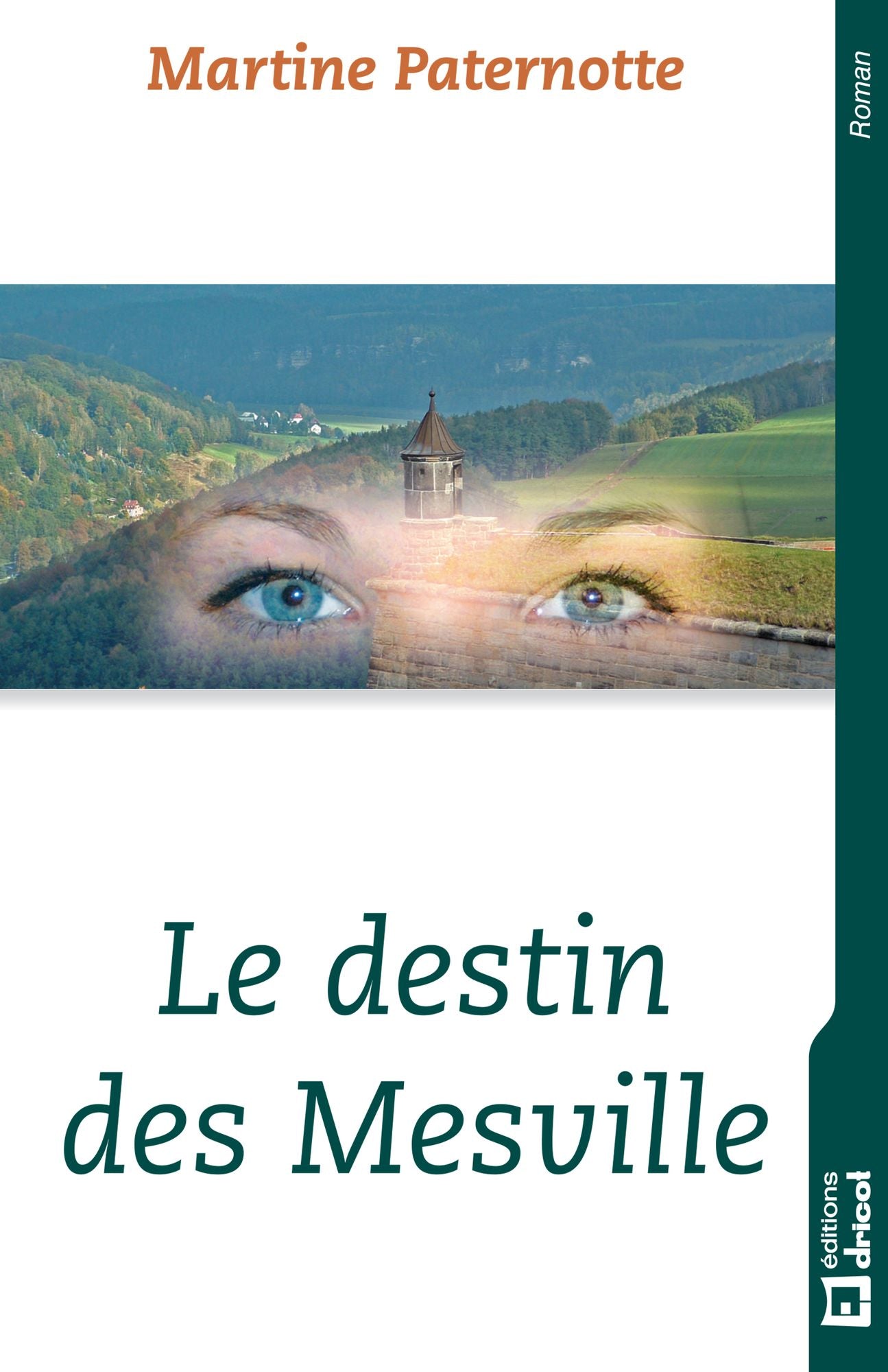 Le destin des Mesville: Roman familial