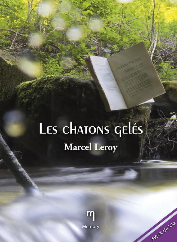 Les chatons gelés: Récit de vie