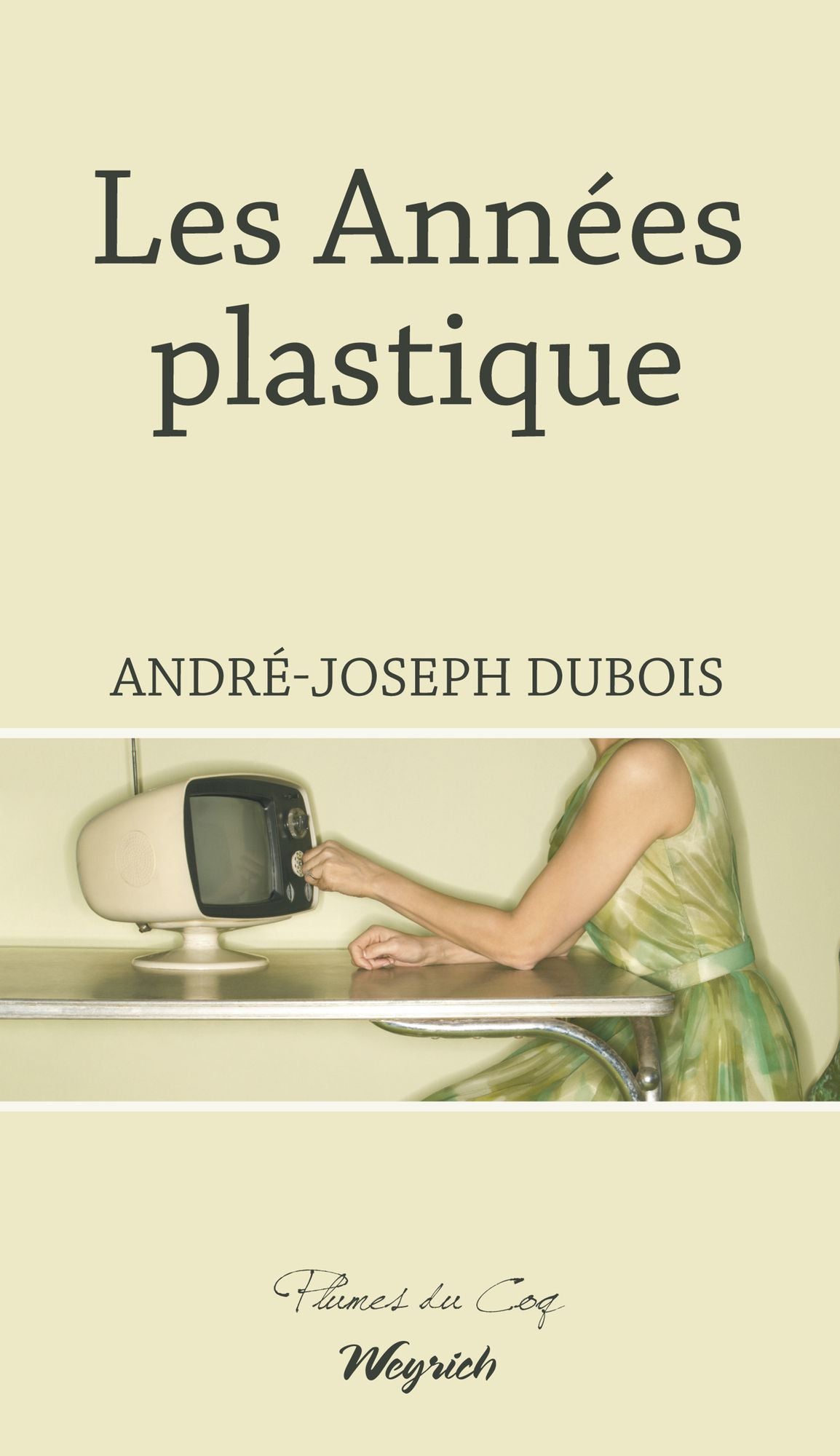 Les Années plastique: Roman régional historique