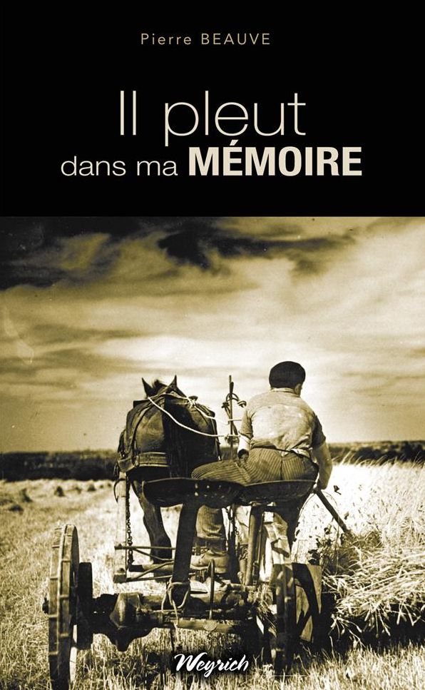 Il pleut dans ma mémoire: Roman régional