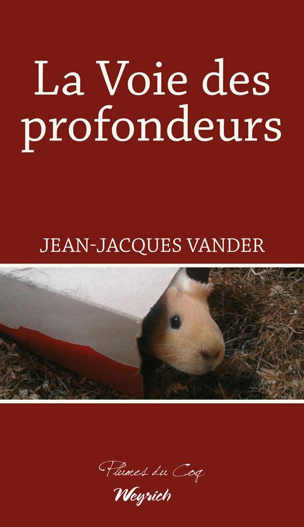 La voie des profondeurs: Roman philosophique