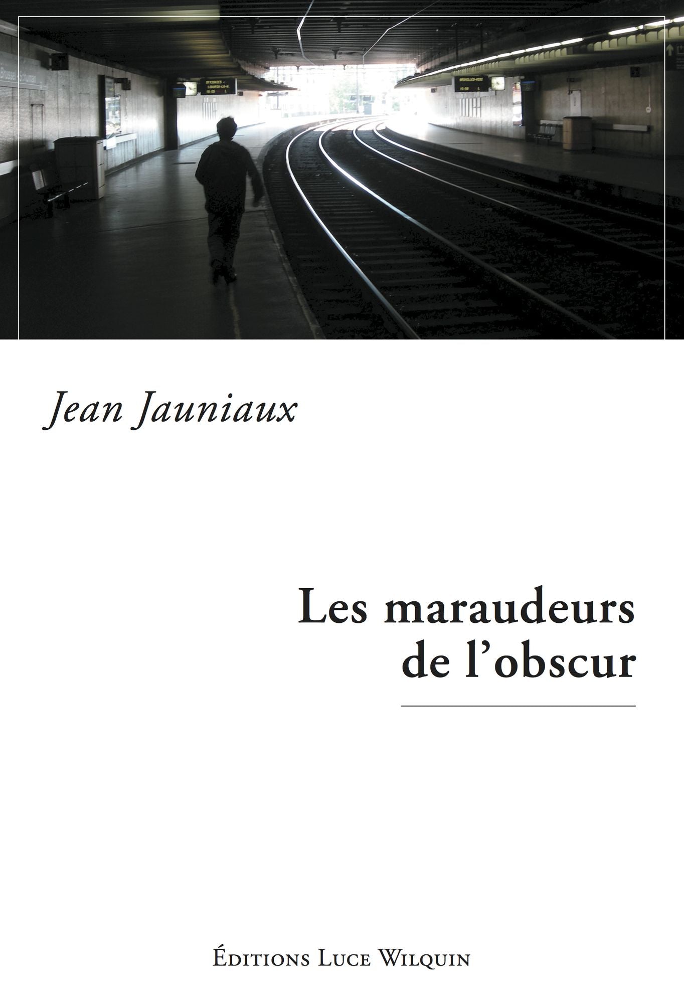 Les maraudeurs de l'obscur: Recueil de nouvelles