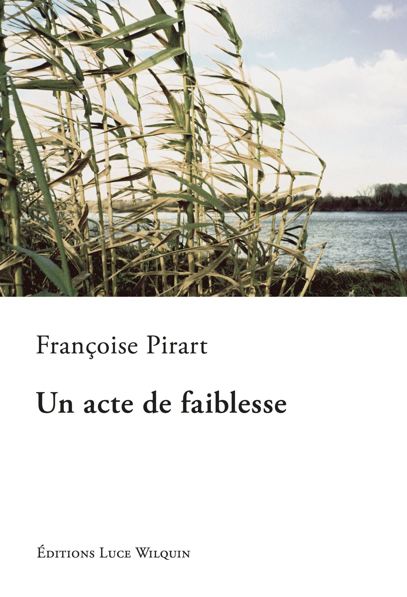 Un acte de faiblesse: Recueil de nouvelles
