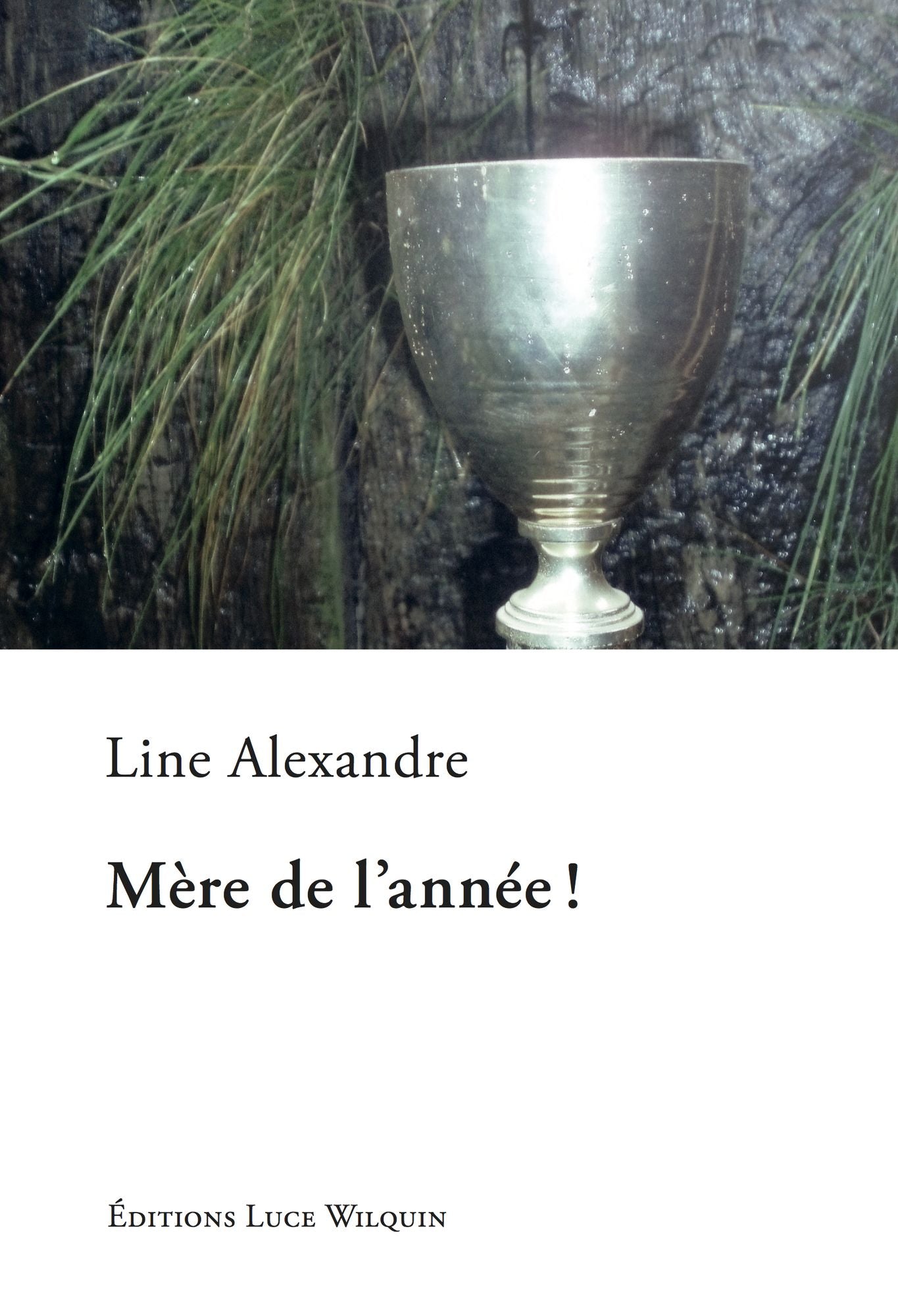 Mère de l'année !: Un roman attachant