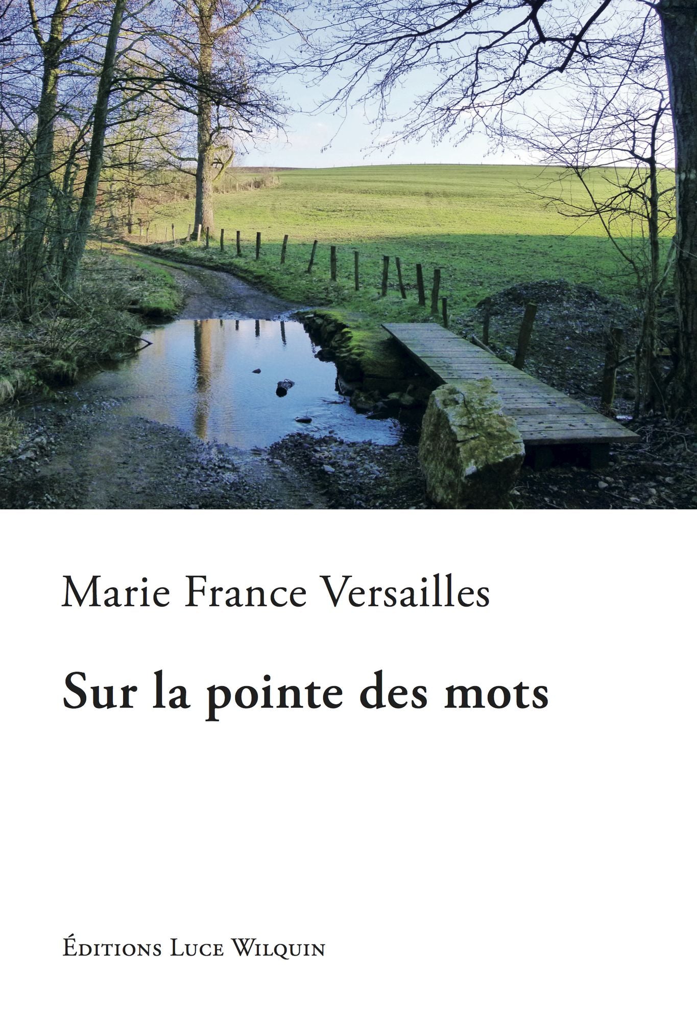 Sur la pointe des mots: Un roman délicieux