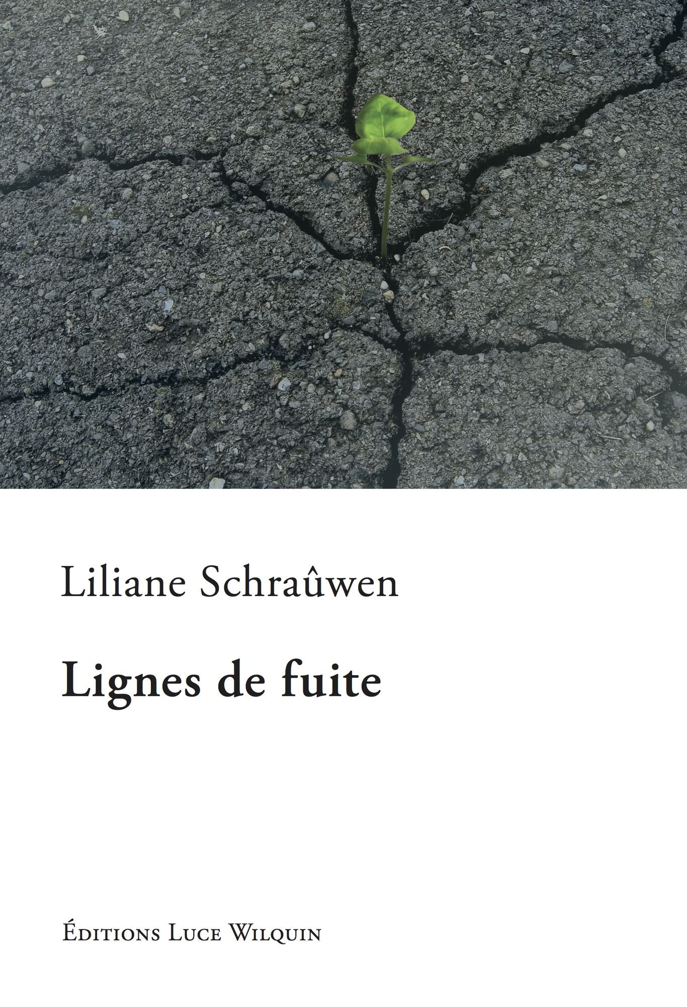 Lignes de fuite: Roman sur les questions de la vie