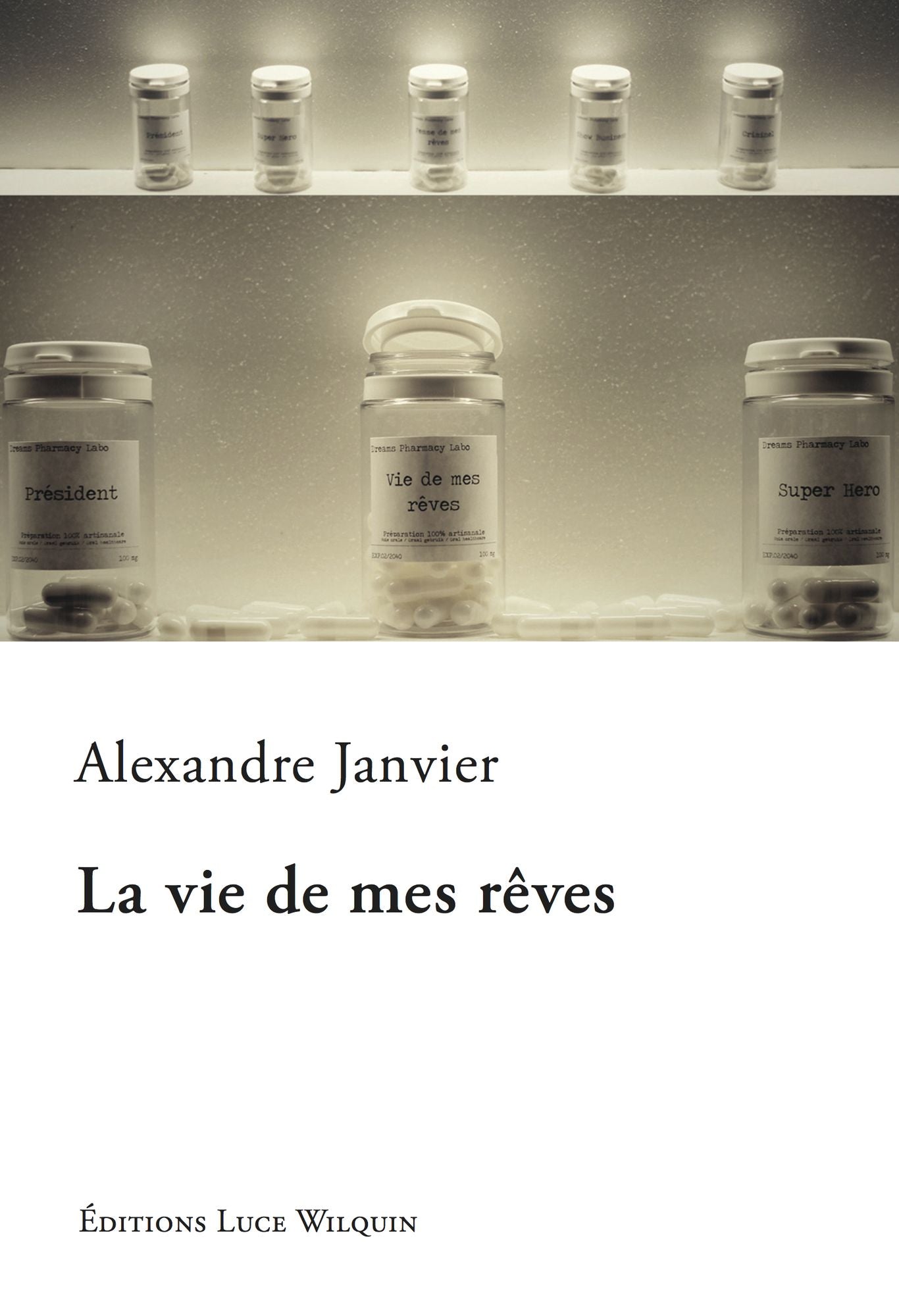 La vie de mes rêves: Une romance contemporaine