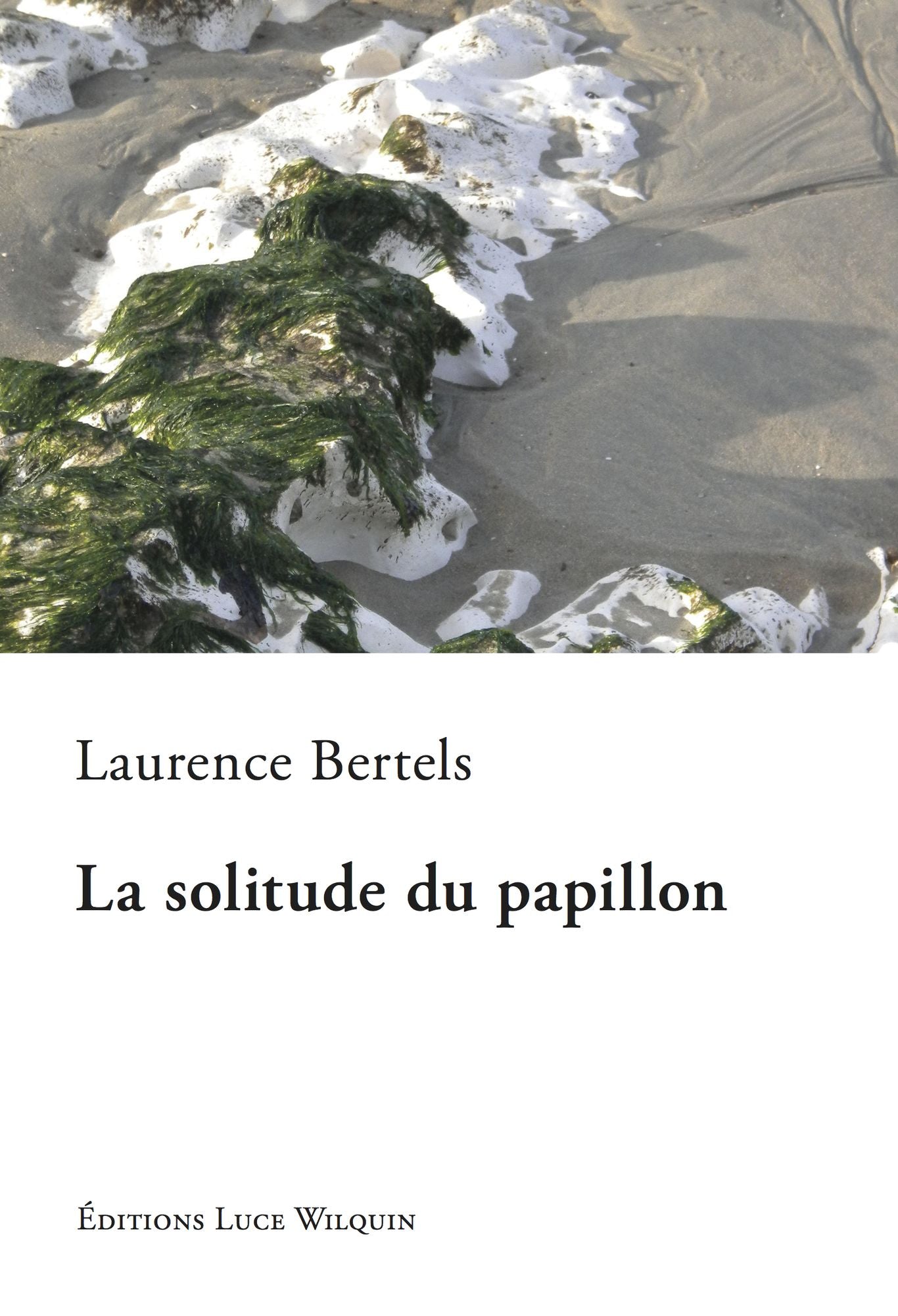 La solitude du papillon: Un roman doux et émouvant