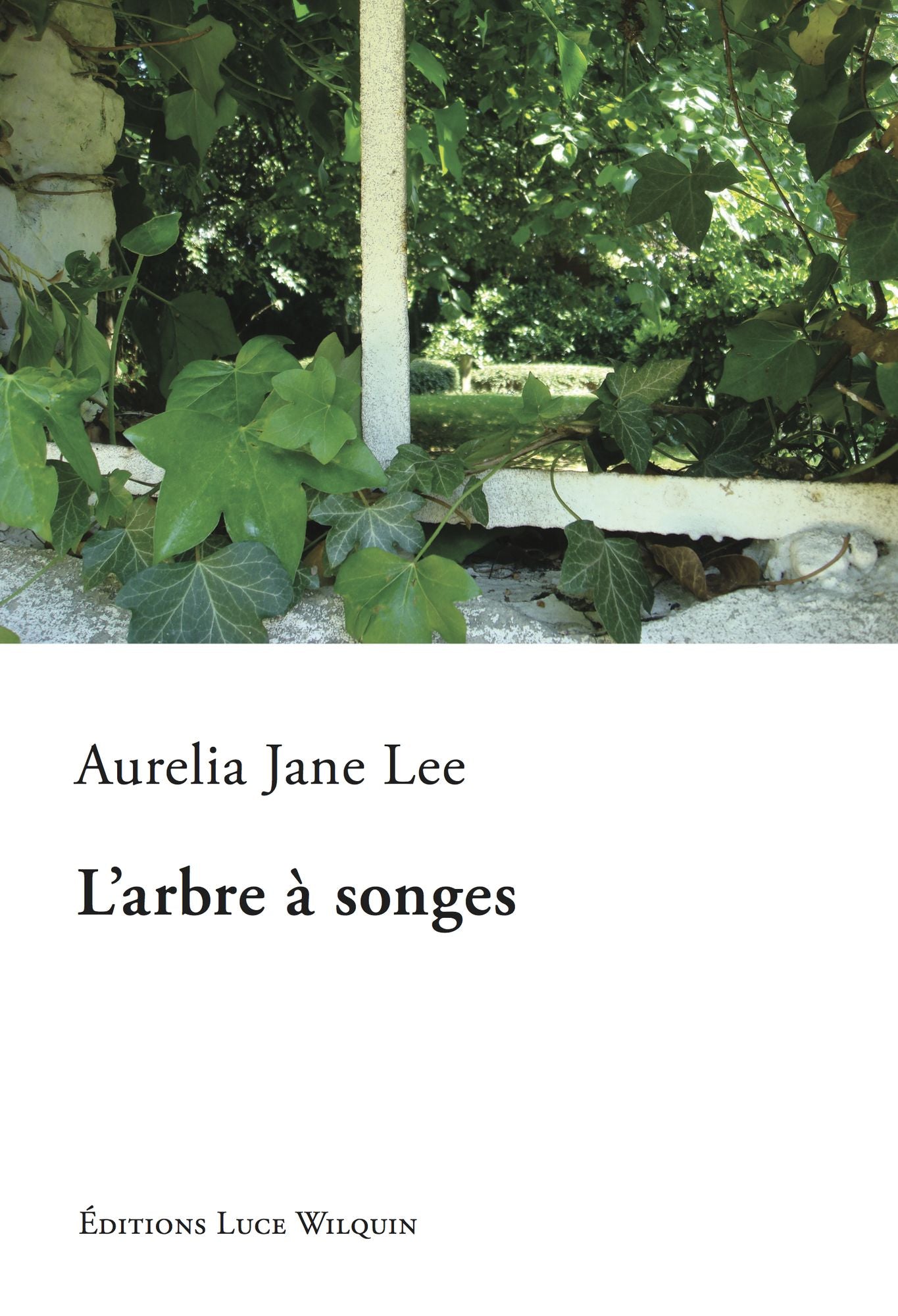 L'arbre à songes: Un roman tendre et poétique