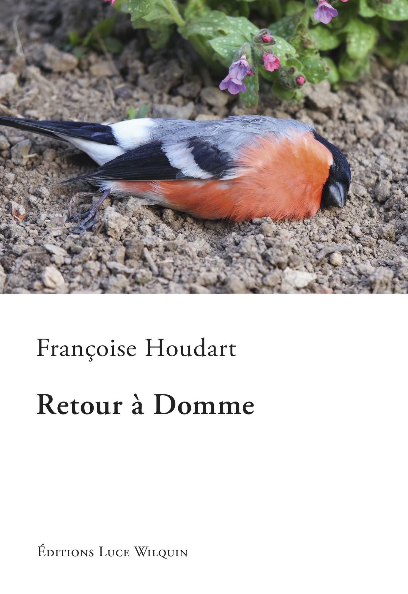 Retour à Domme: Un roman d'aventures