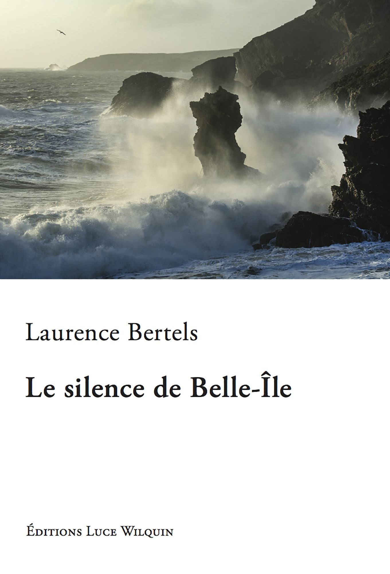 Le silence de Belle-Île: Un roman intime sur les côtes bretonnes
