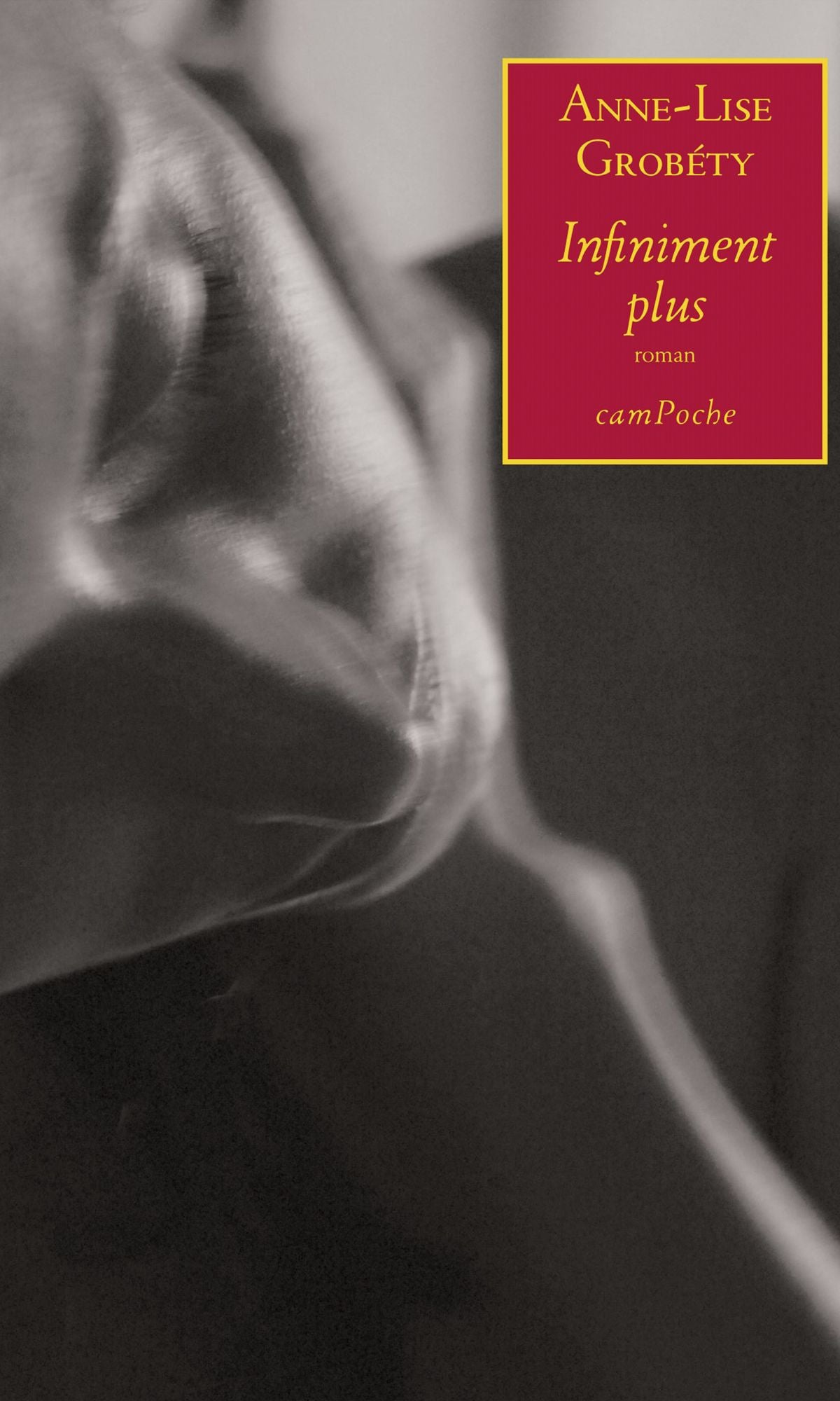 Infiniment plus: Roman autobiographique