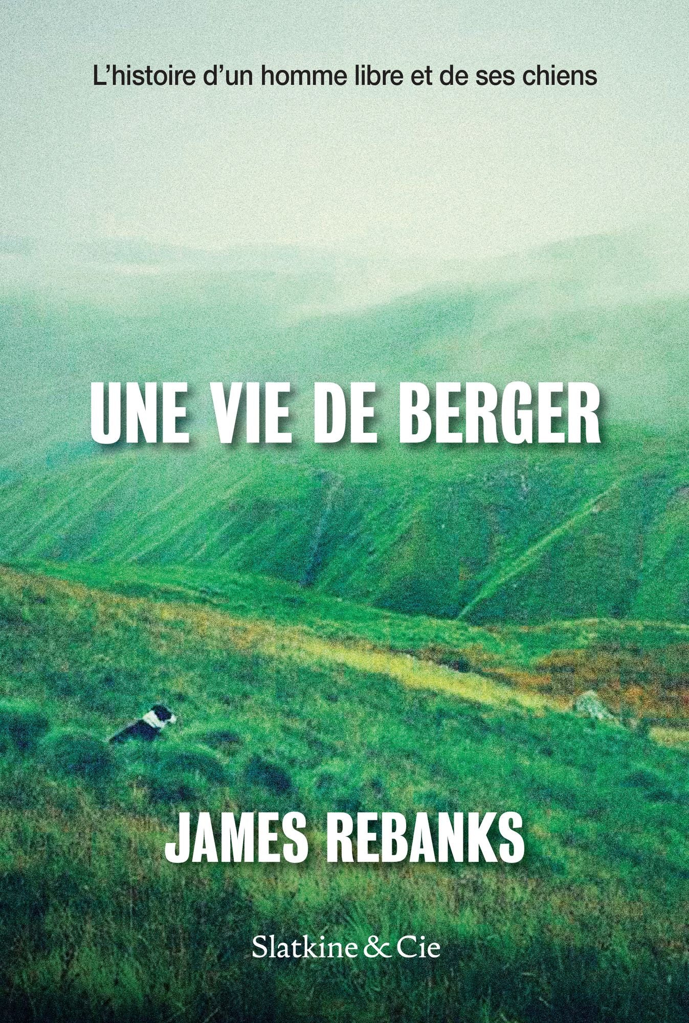 Une vie de berger: L'histoire d'un homme libre et de ses chiens