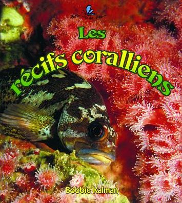 Les rcifs coralliens