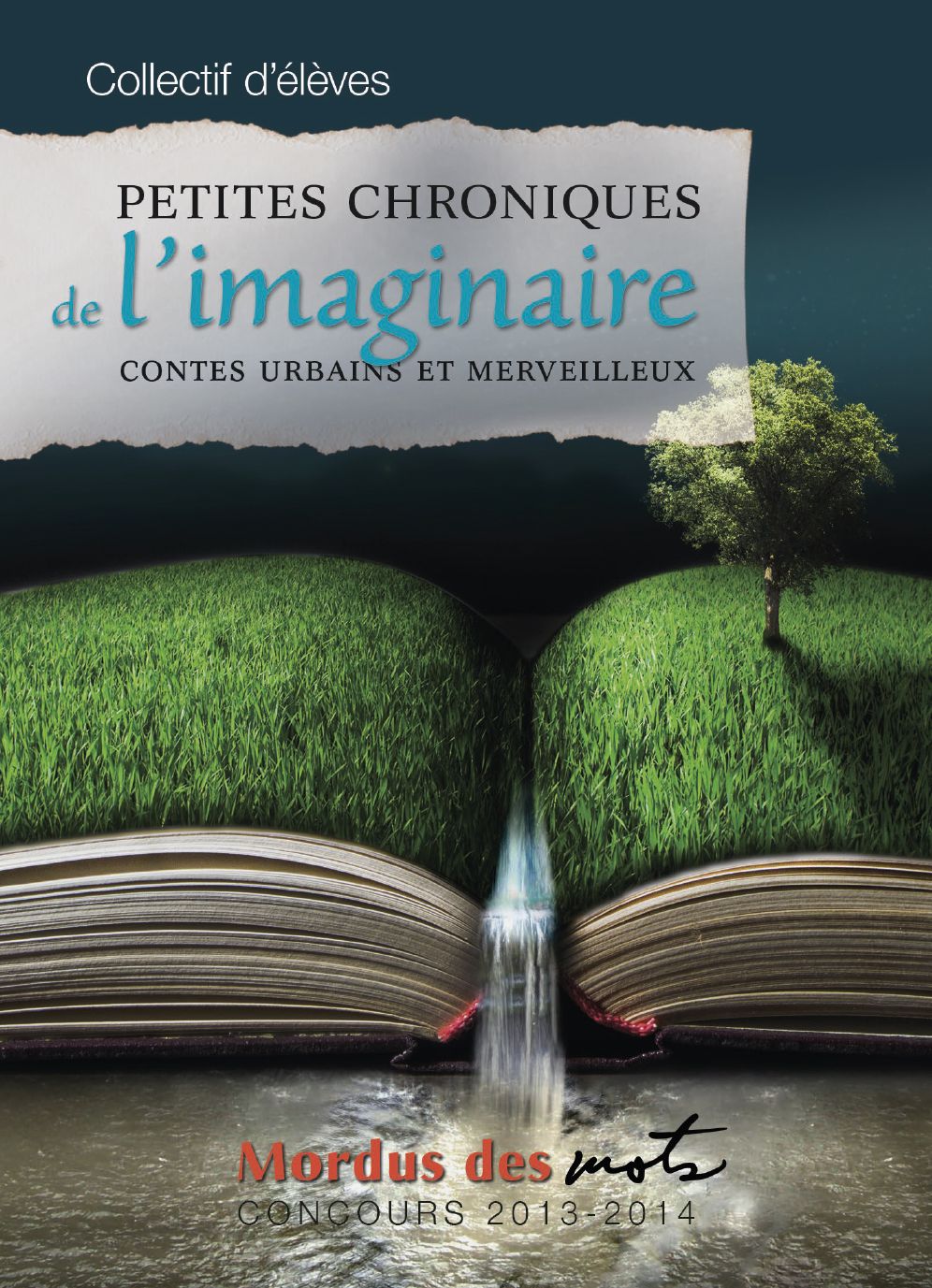 Petites chroniques de l'imaginaire: Contes urbains et merveilleux