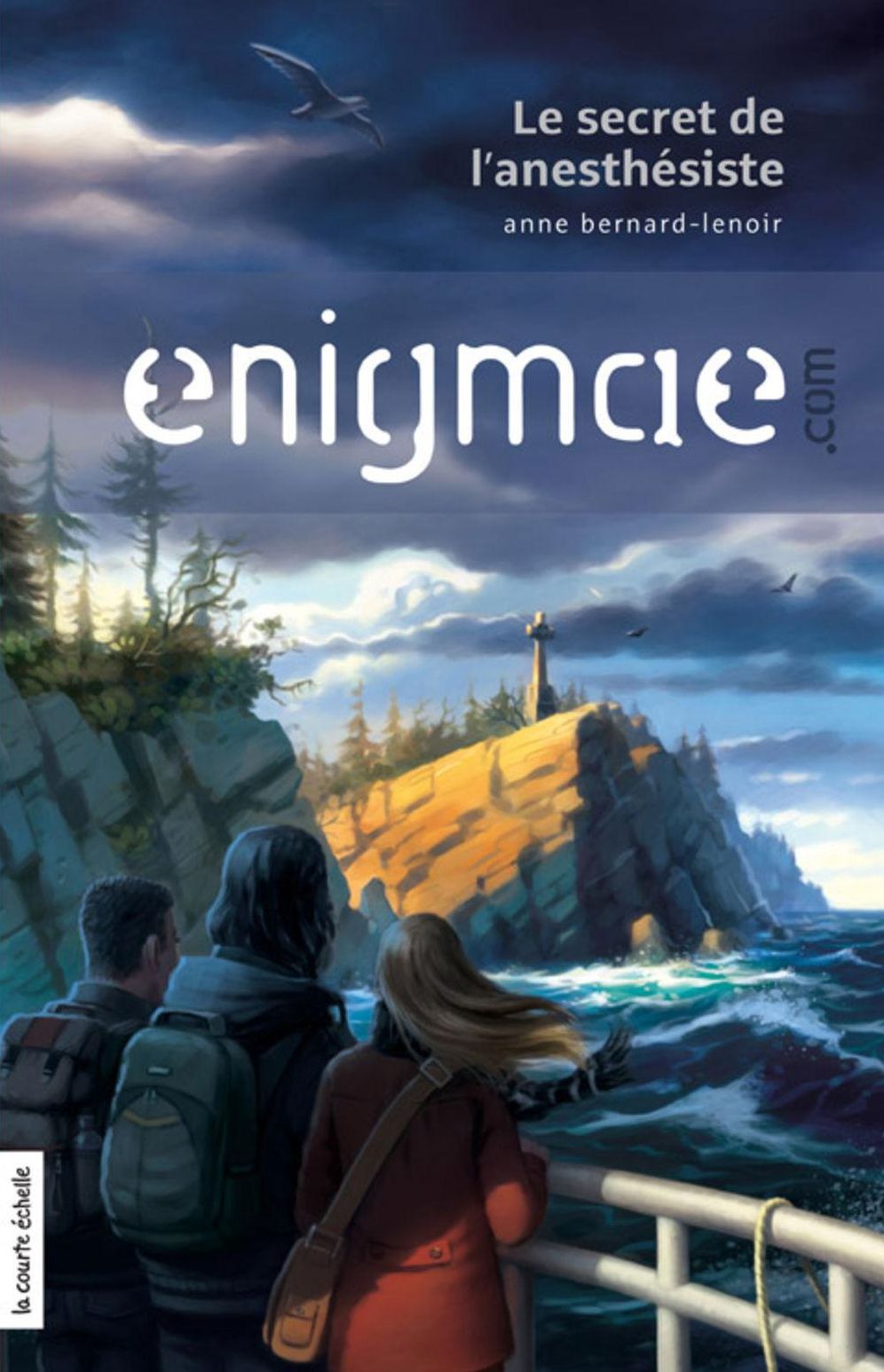 Le secret de l'anesthésiste: Enigmae.com, tome 1
